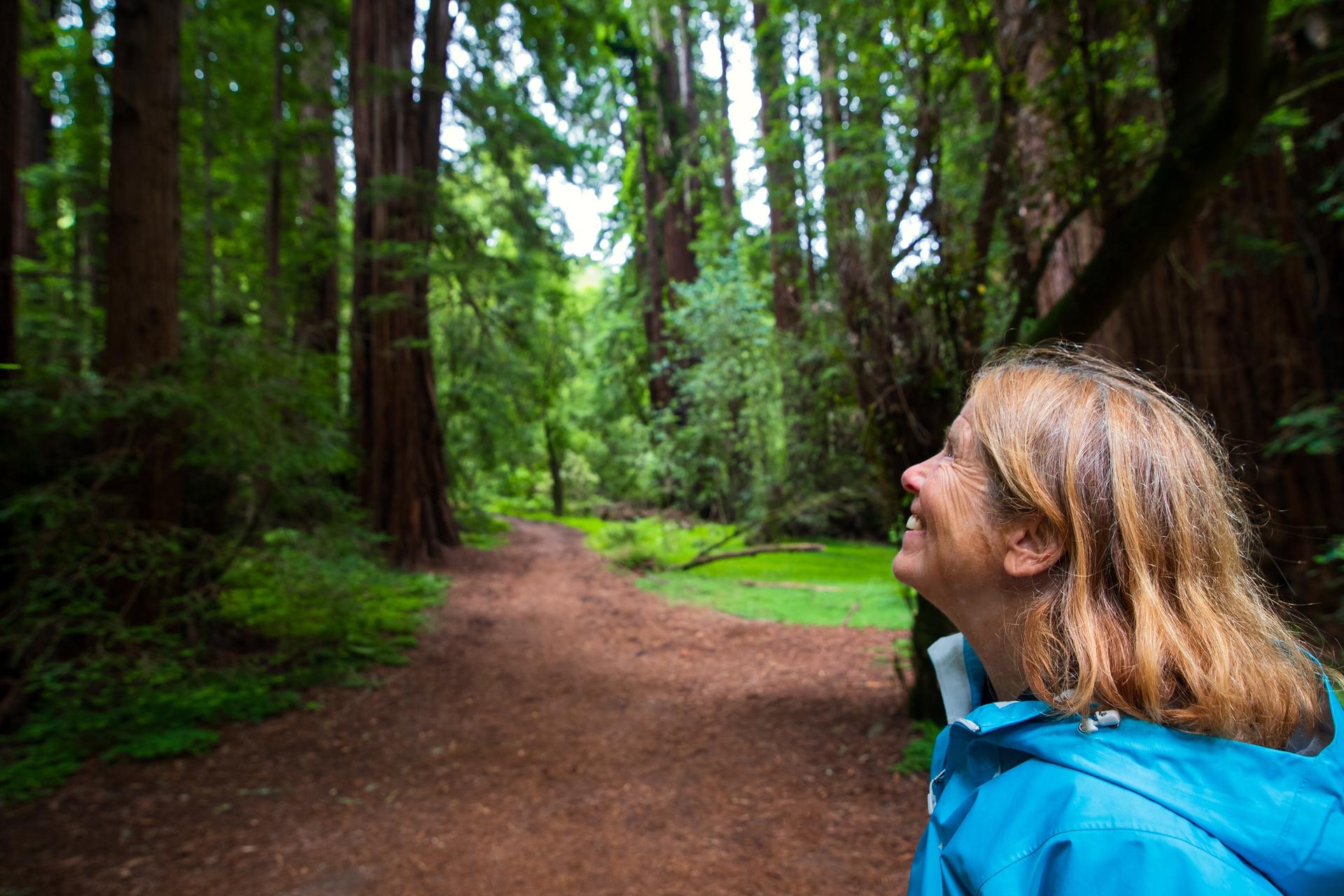 Muir Woods and California Wine Country Tour from San Francisco - Thumbnail 7