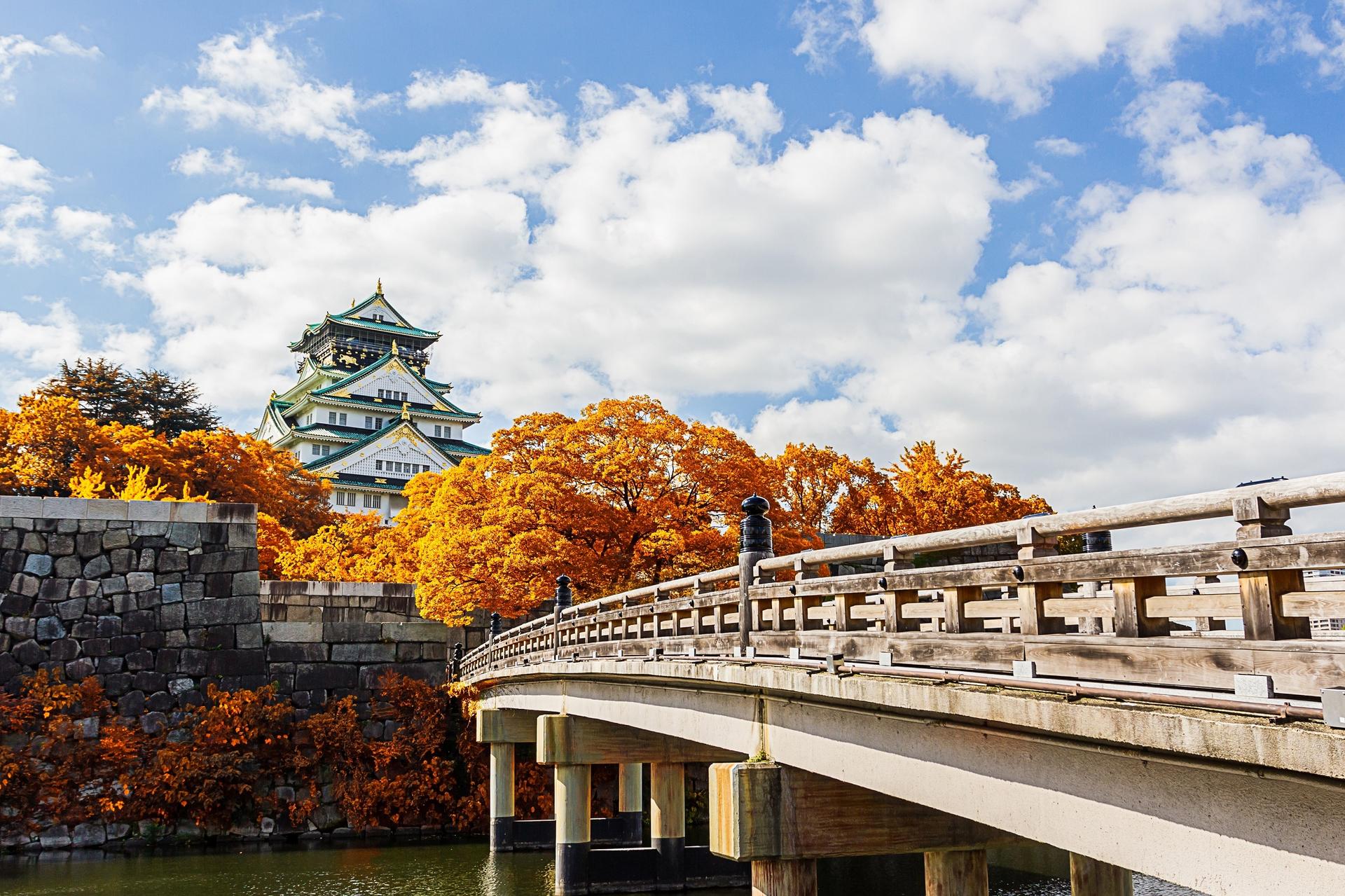 Osaka 4hr Private Tour with Government-Licensed Guide - Thumbnail 2