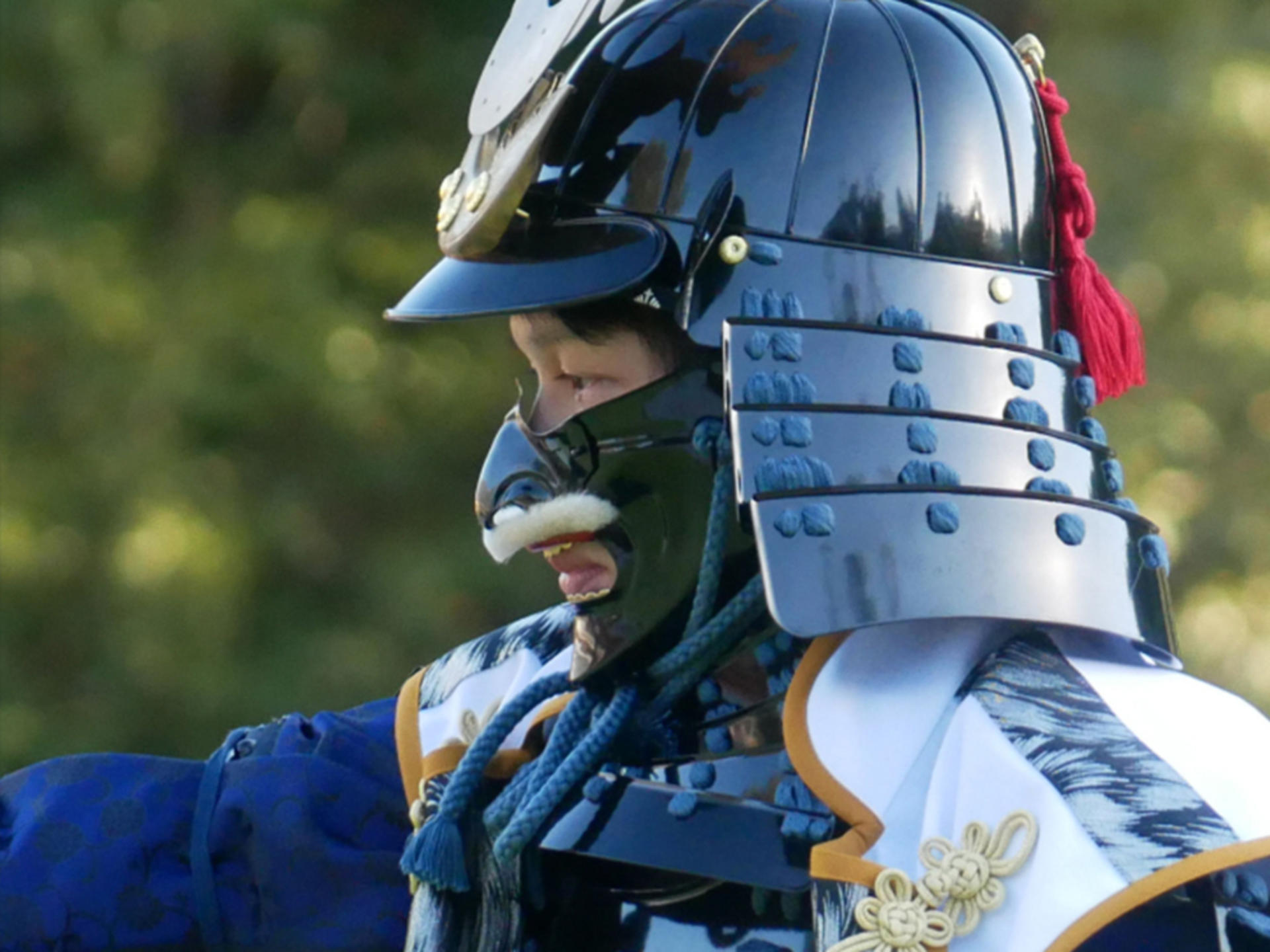 Tokyo: Authentic Samurai Training with a Direct Descendant - Thumbnail 7