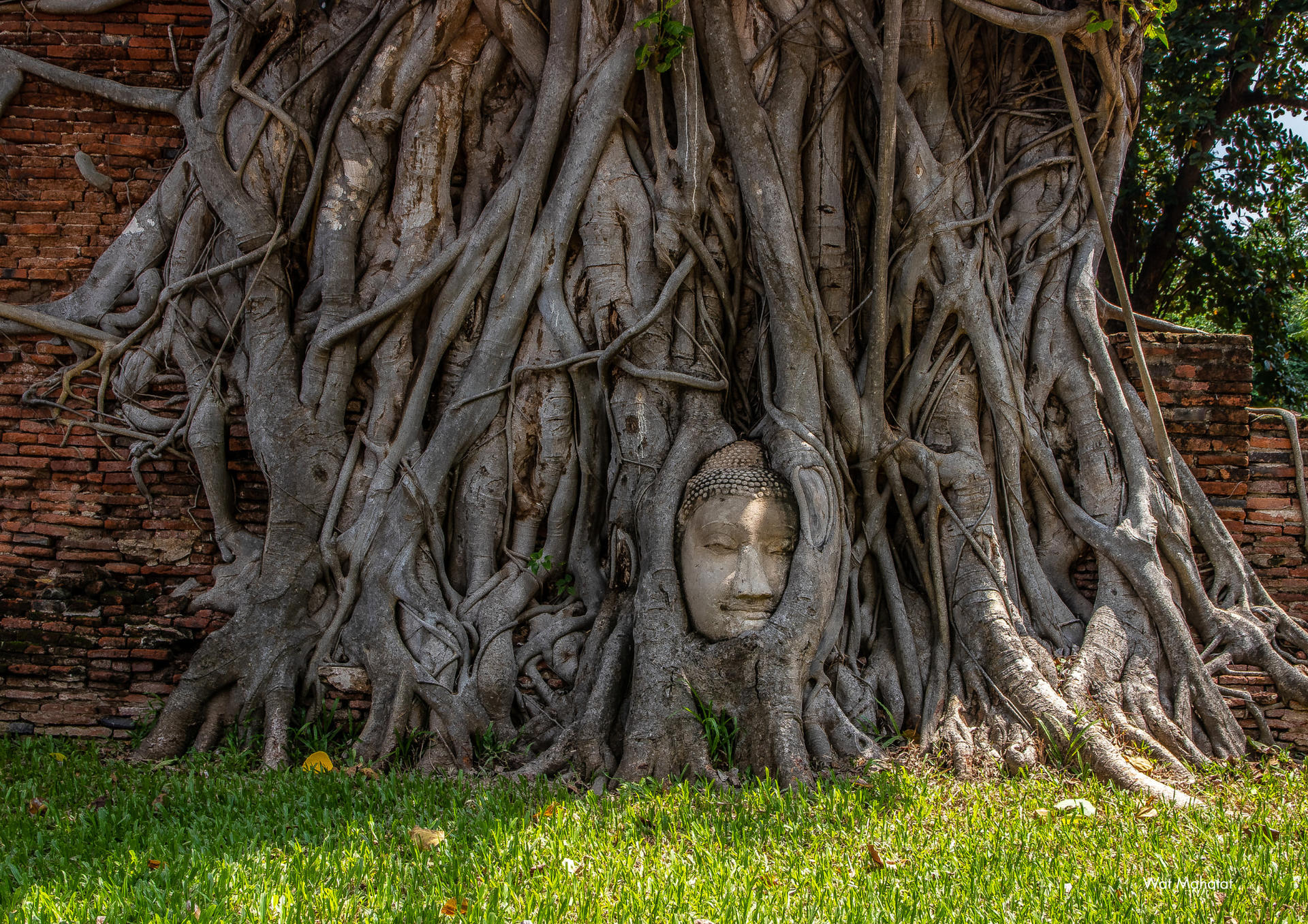 Ayutthaya Temples One Day Tour from Bangkok - Thumbnail 16