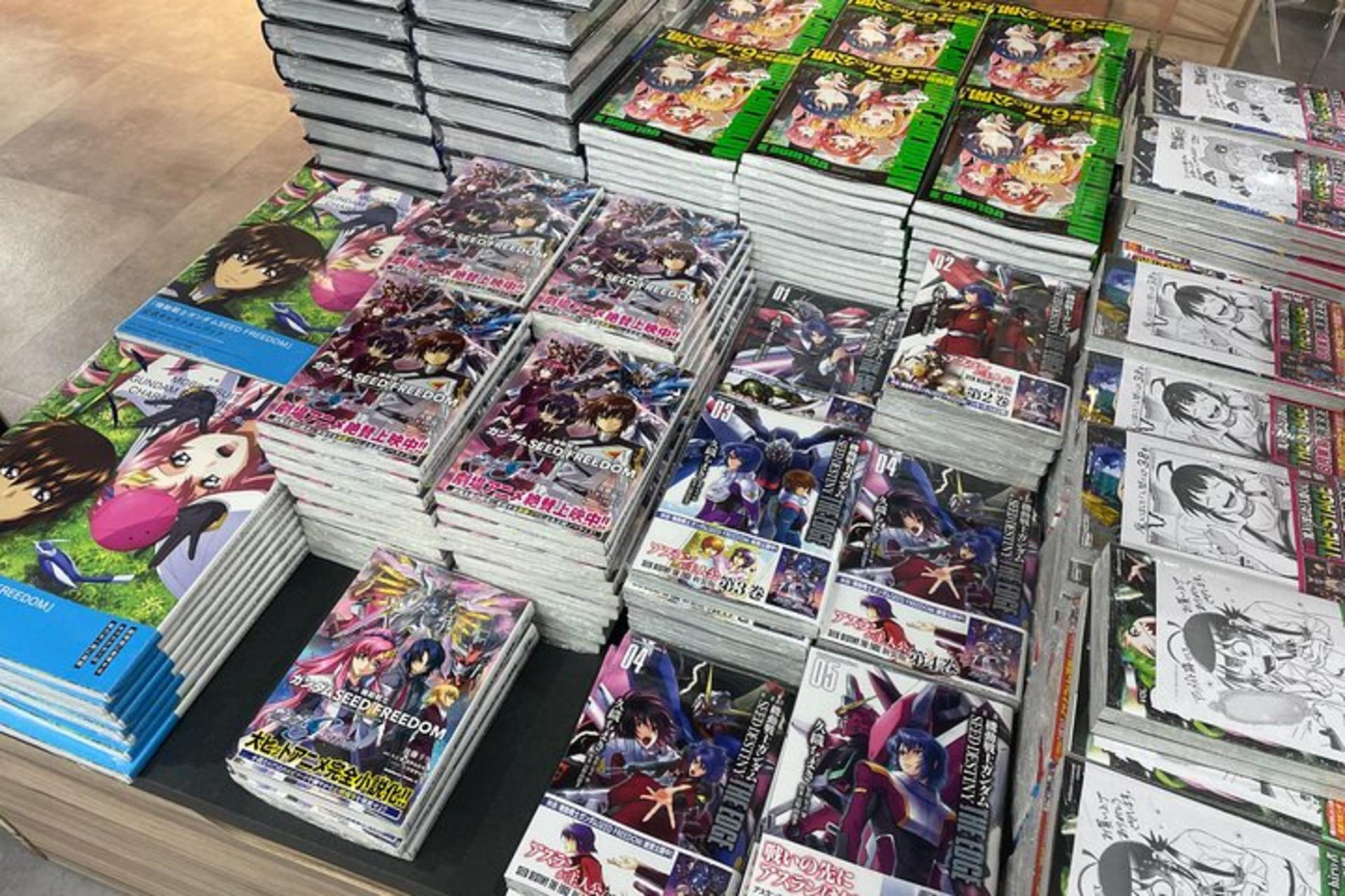 Tokyo: Akihabara Cosplay & Anime Shop Hopping - Thumbnail 21