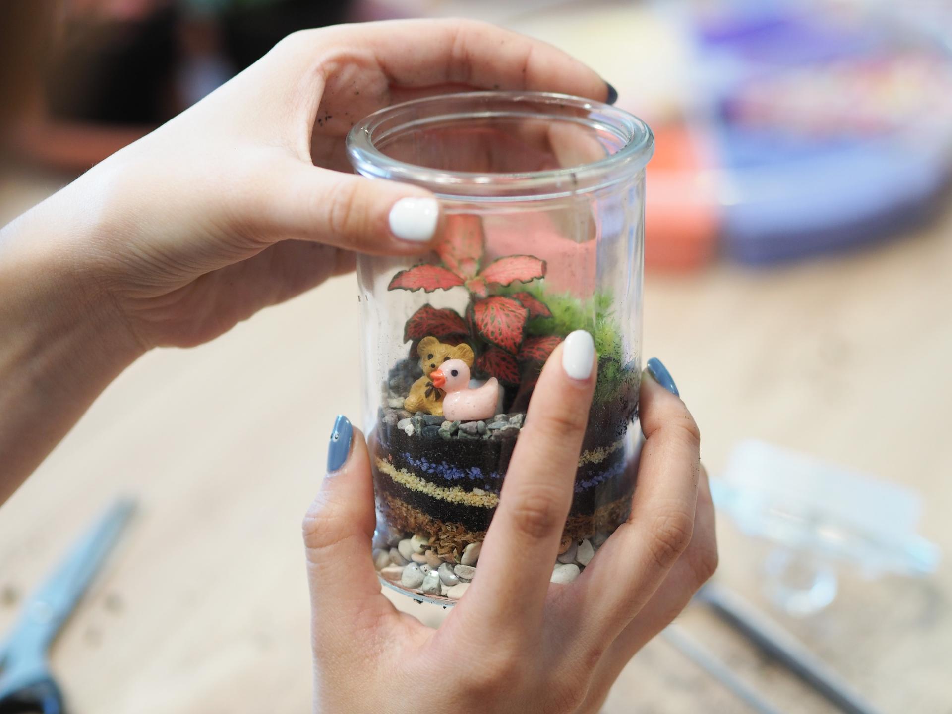Rainforest Terrarium Workshop in Yishun