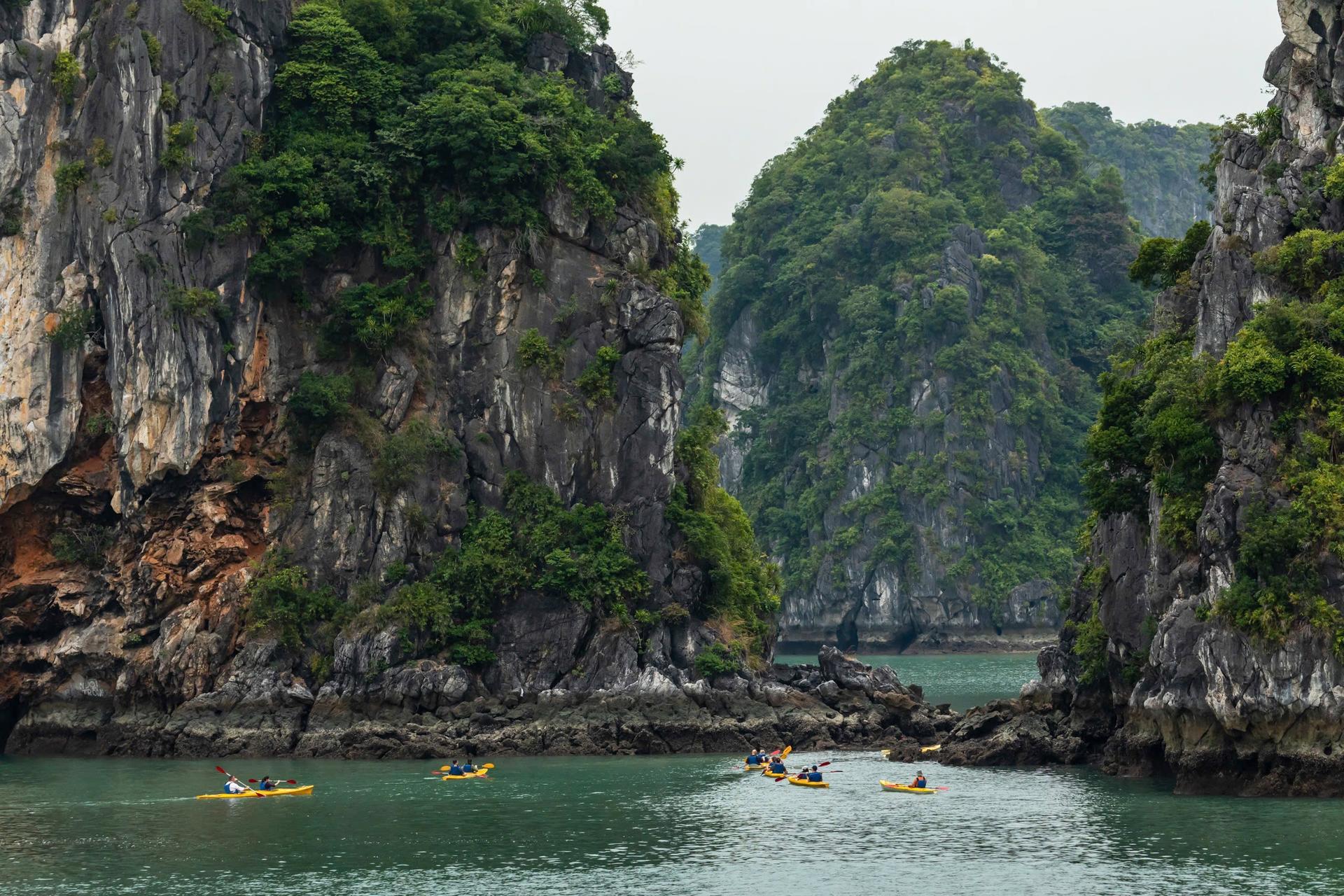 Tropical Day Cruise: Ha Long Bay & Lan Ha Bay, Cat Ba Island Tour - Thumbnail 21