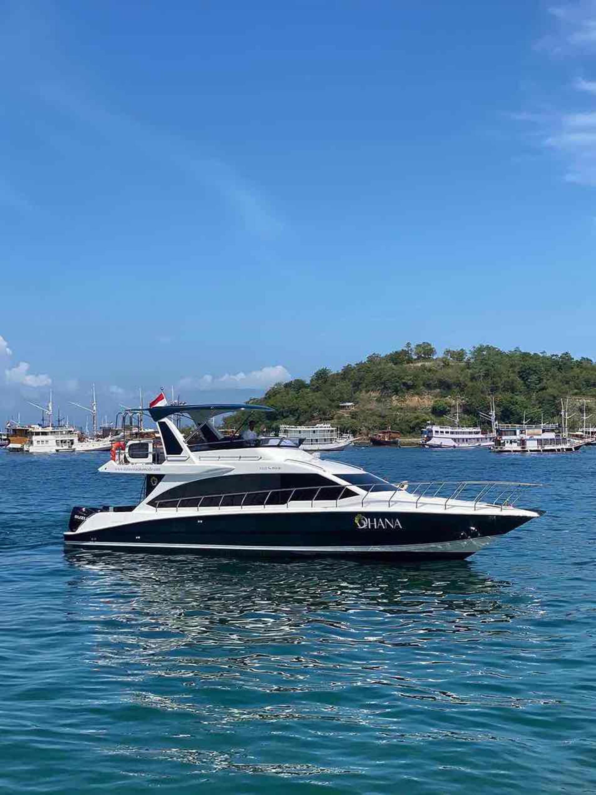 Full Day Speedboat Tour from Labuan Bajo - Image 1