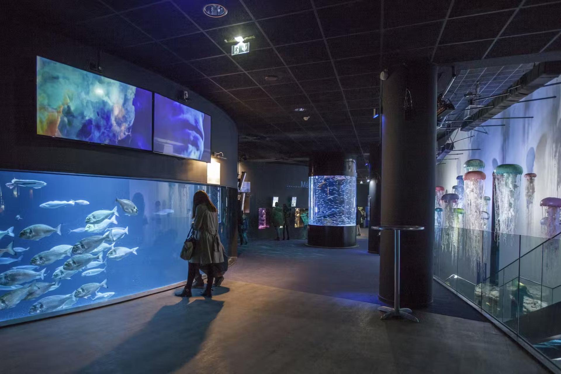 Aquarium de Paris Admission in Paris - Thumbnail 6