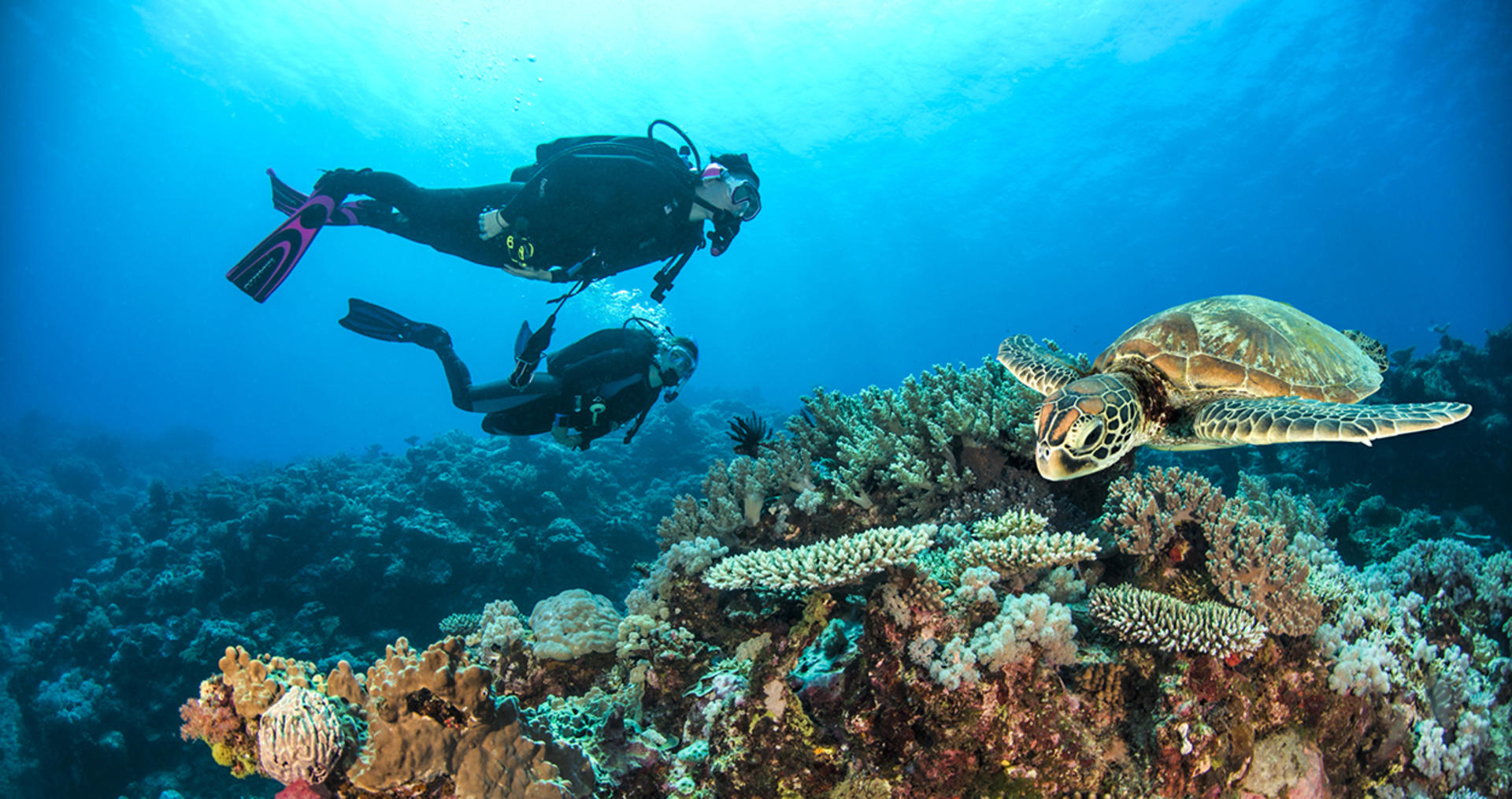 5 Day PADI Learn to Dive in Cairns - Thumbnail 4