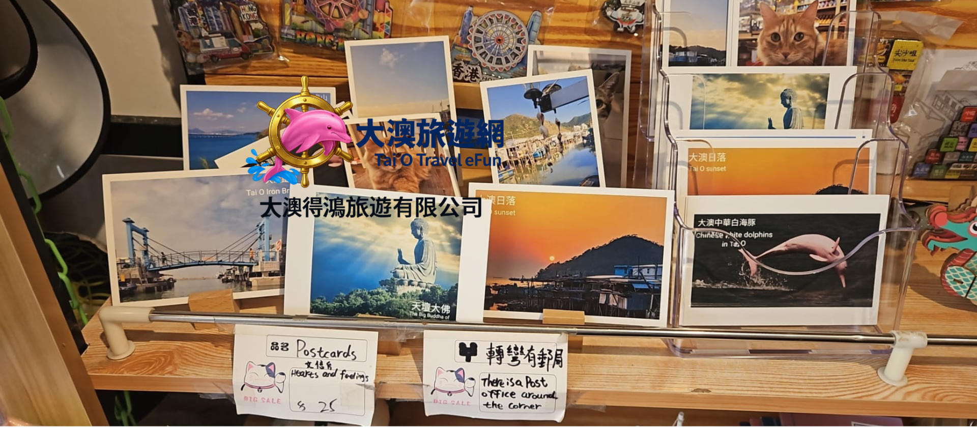 Tai O VIP Private Boat Dolphin Watching Tour - Fits up to 12 people (Includes stilt house drinks, map, and postcard) | Tai O Tak Hung Travel - Thumbnail 14