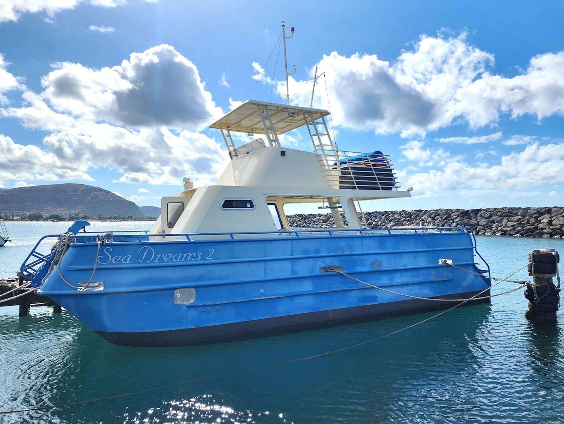 West Oahu Dolphin Watch and Snorkel Sail - Thumbnail 5