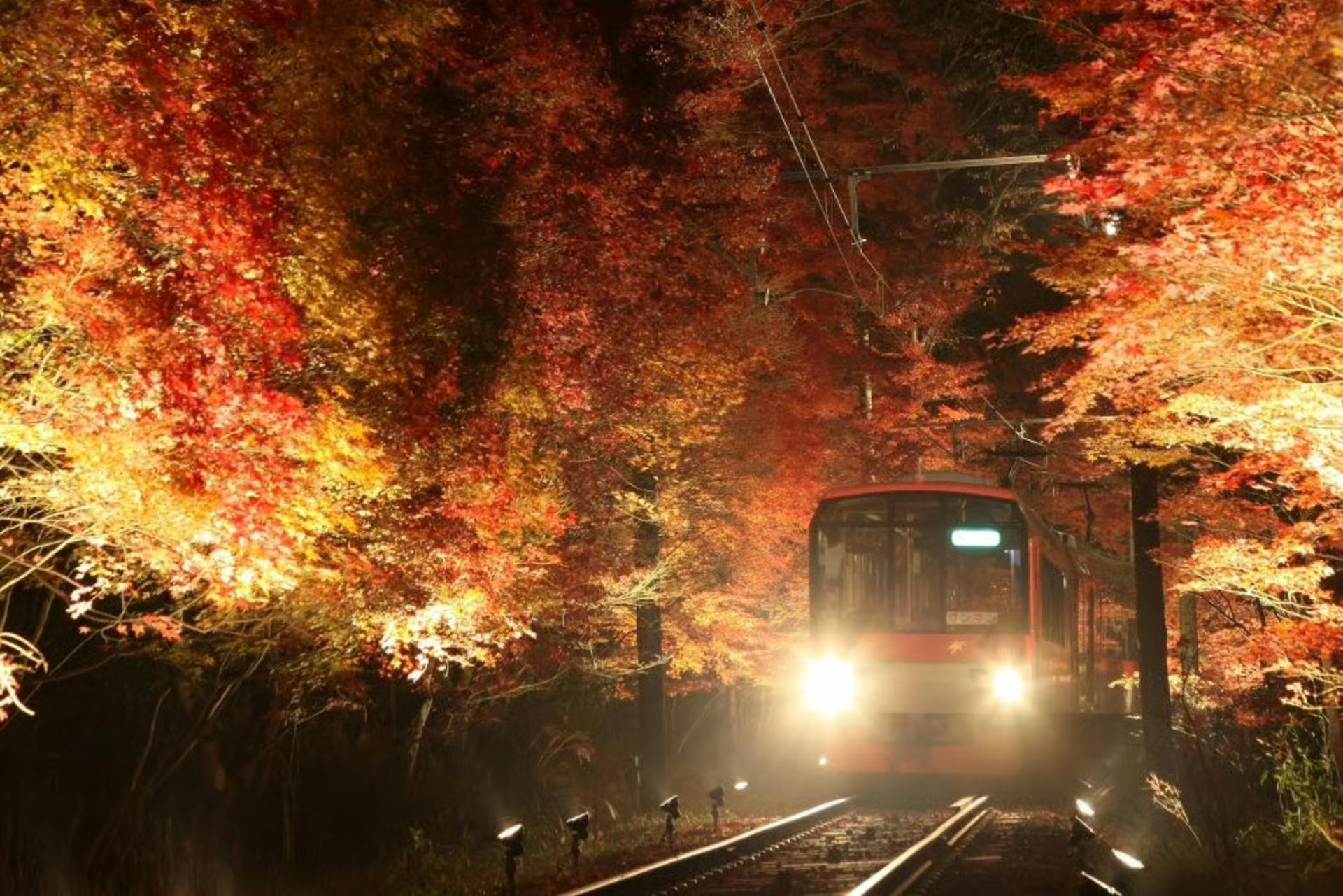 Eizan Electric Railway 1-Day Pass “Ee Kippu” & Kurama Onsen Set Ticket - Thumbnail 9