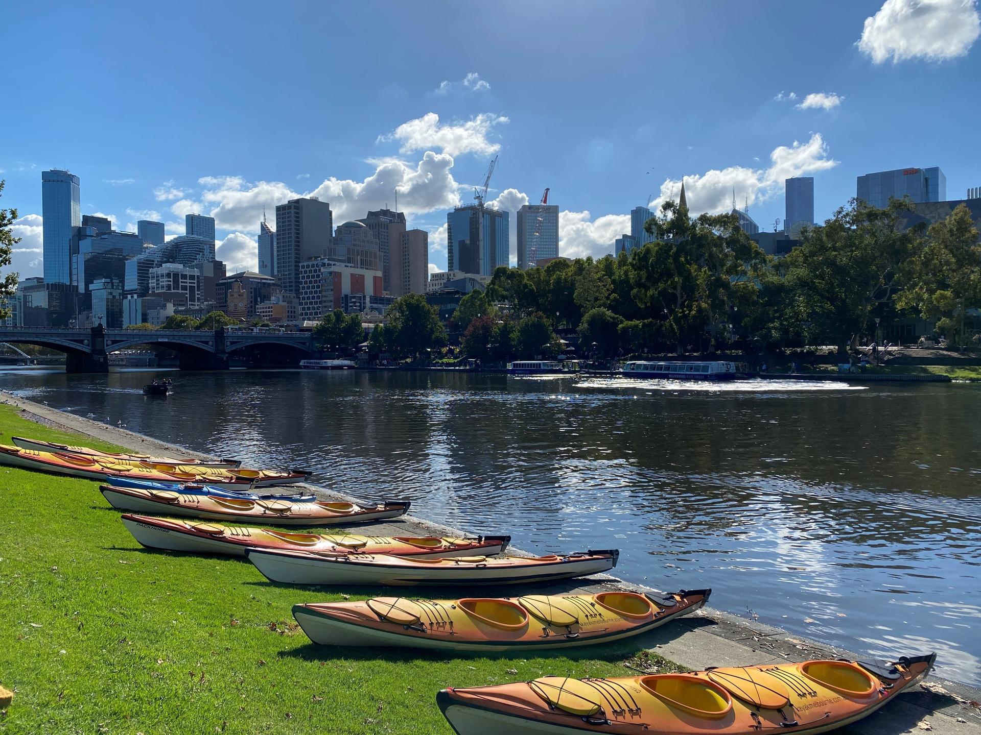 City Sightseeing Kayak Tour in Melbourne	 - Thumbnail 5