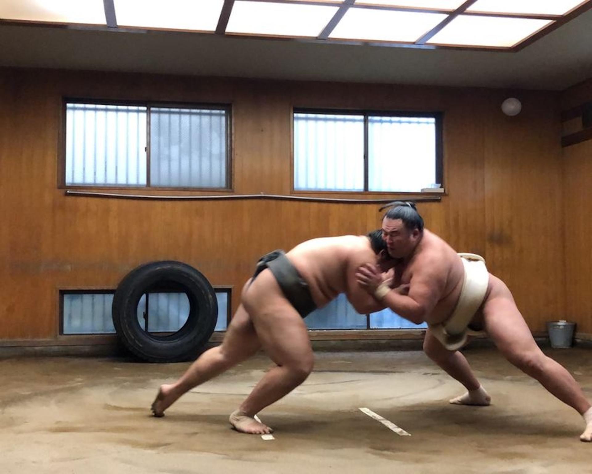 Tokyo Sumo Morning Practice Tour with Ring-Side Seats + Photo Shoot - Thumbnail 6