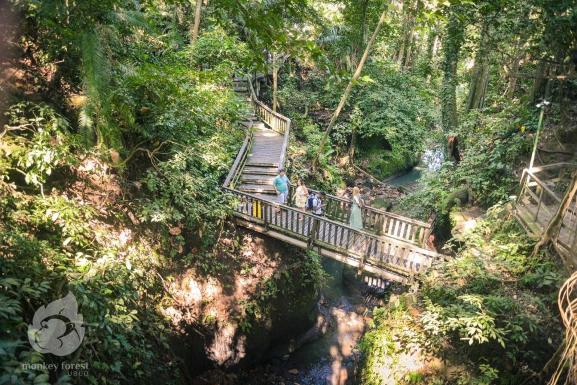 Sacred Monkey Forest Ubud Ticket - Thumbnail 2