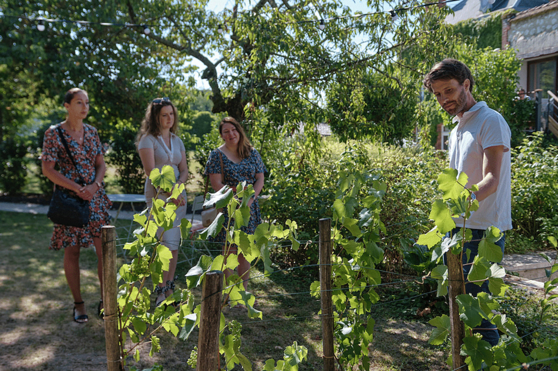 Veuve Clicquot and Family Growers Tour with Traditional Lunch - Thumbnail 5