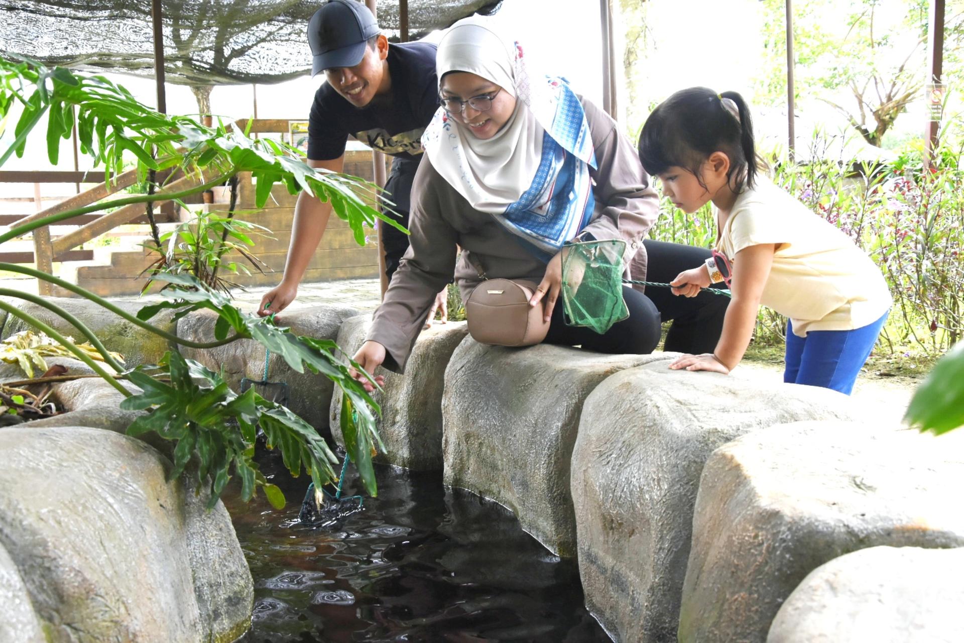 The Bentong Farm Ticket in Pahang - Thumbnail 7