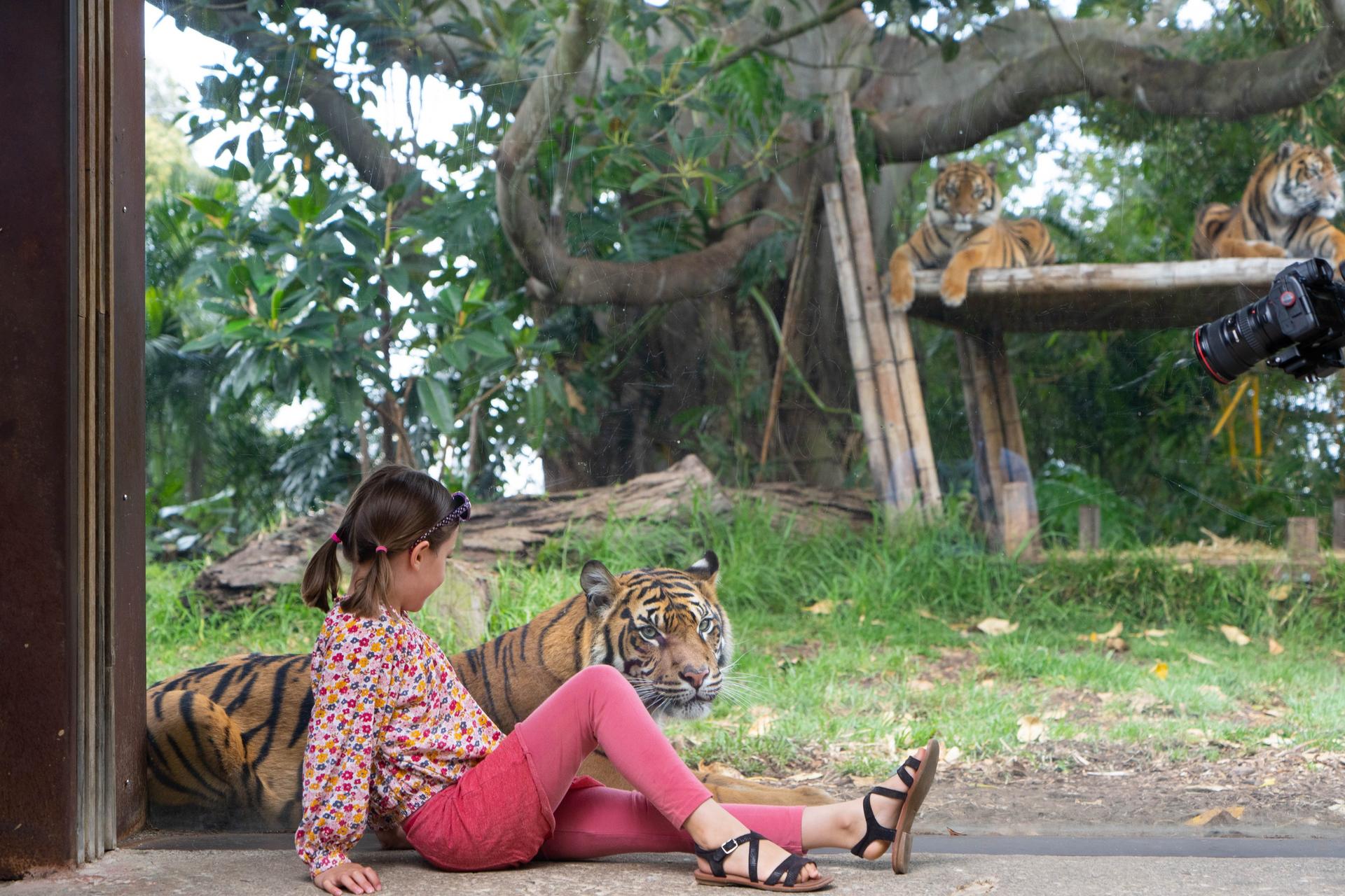 Taronga Zoo Sydney Ticket - Thumbnail 3