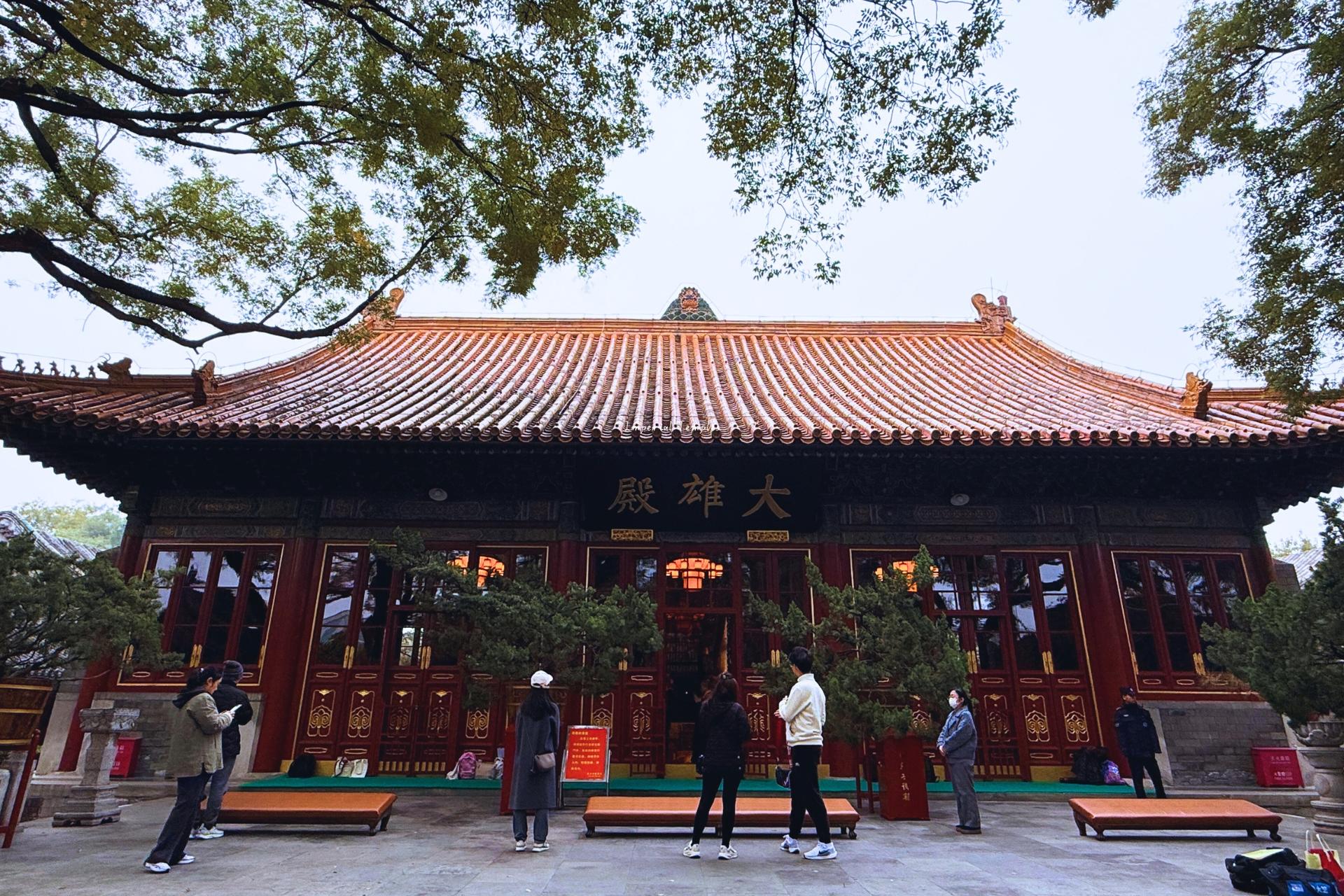 Beijing Hutong Museum Cluster Tour—Culture, Temples & Life - Thumbnail 5