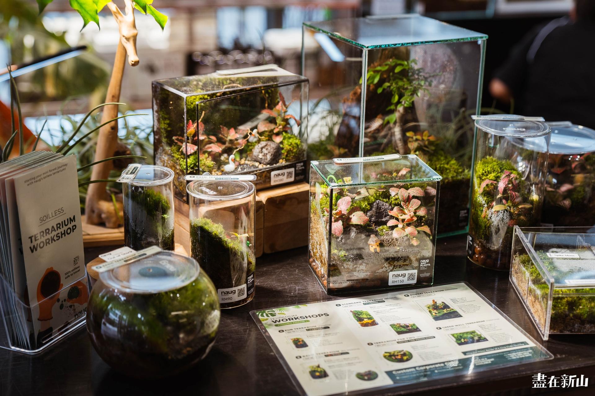 Terrarium DIY Workshop in Johor Bahru  - Thumbnail 9
