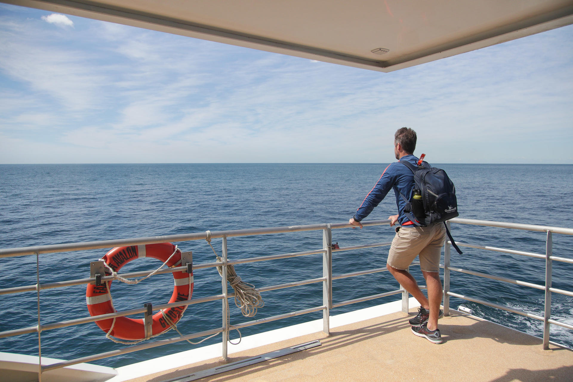 2-Hour Whale Watching Sydney Harbour Cruise - Thumbnail 10