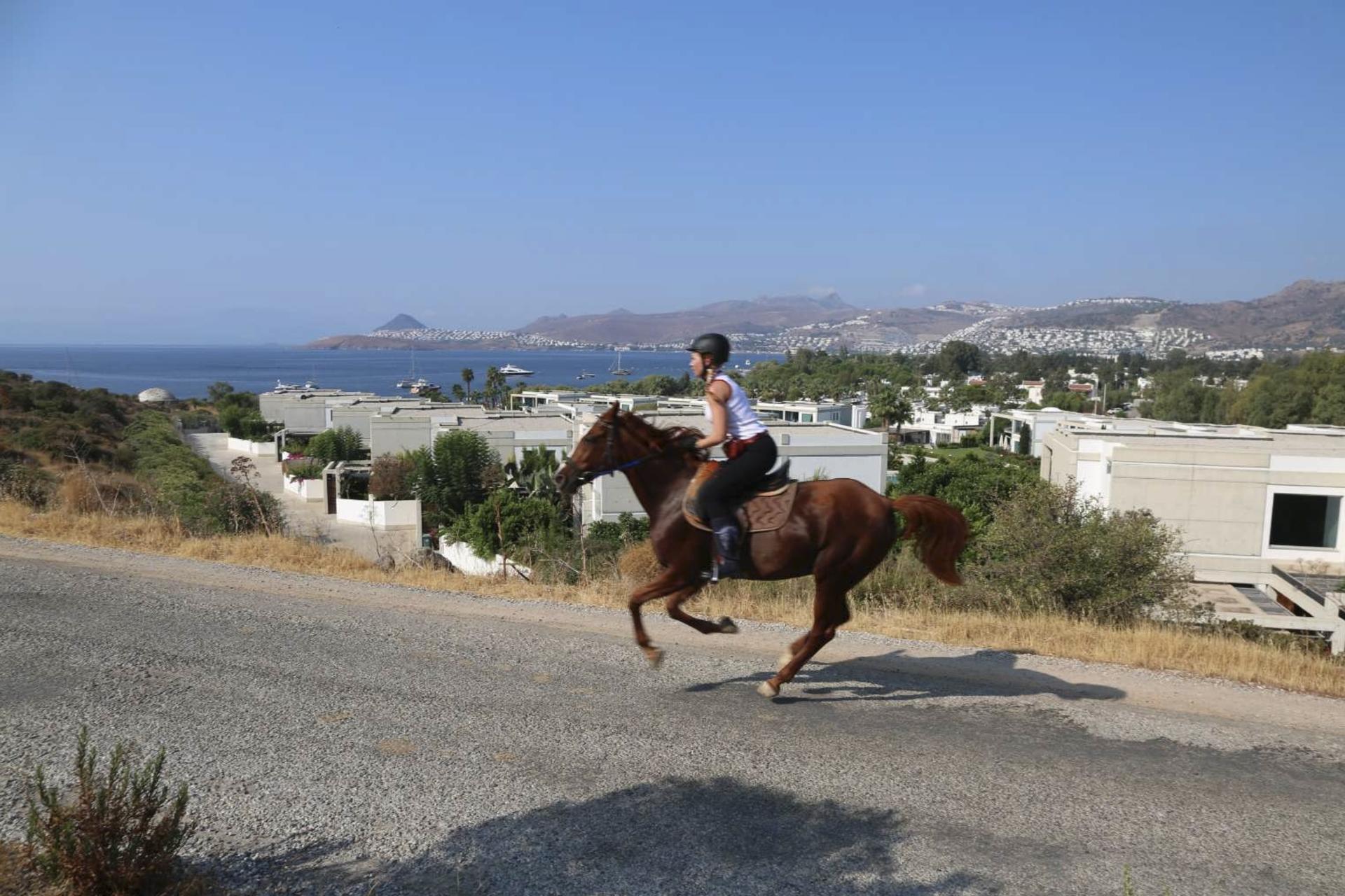 Horseback Riding Experience in Bodrum with Hotel Transfers - Thumbnail 4