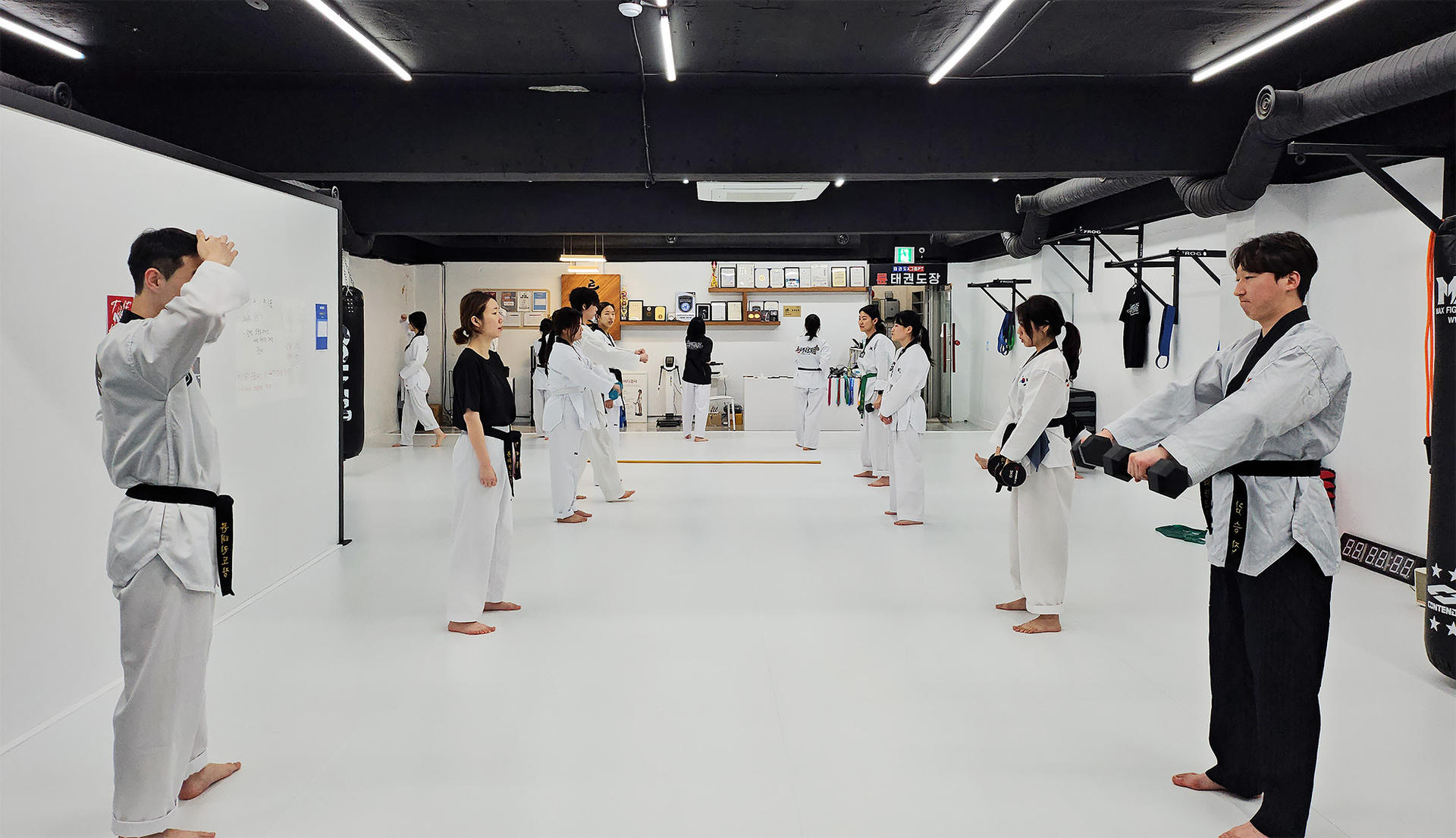 Real Korean Taekwondo Experience with Locals - Thumbnail 9