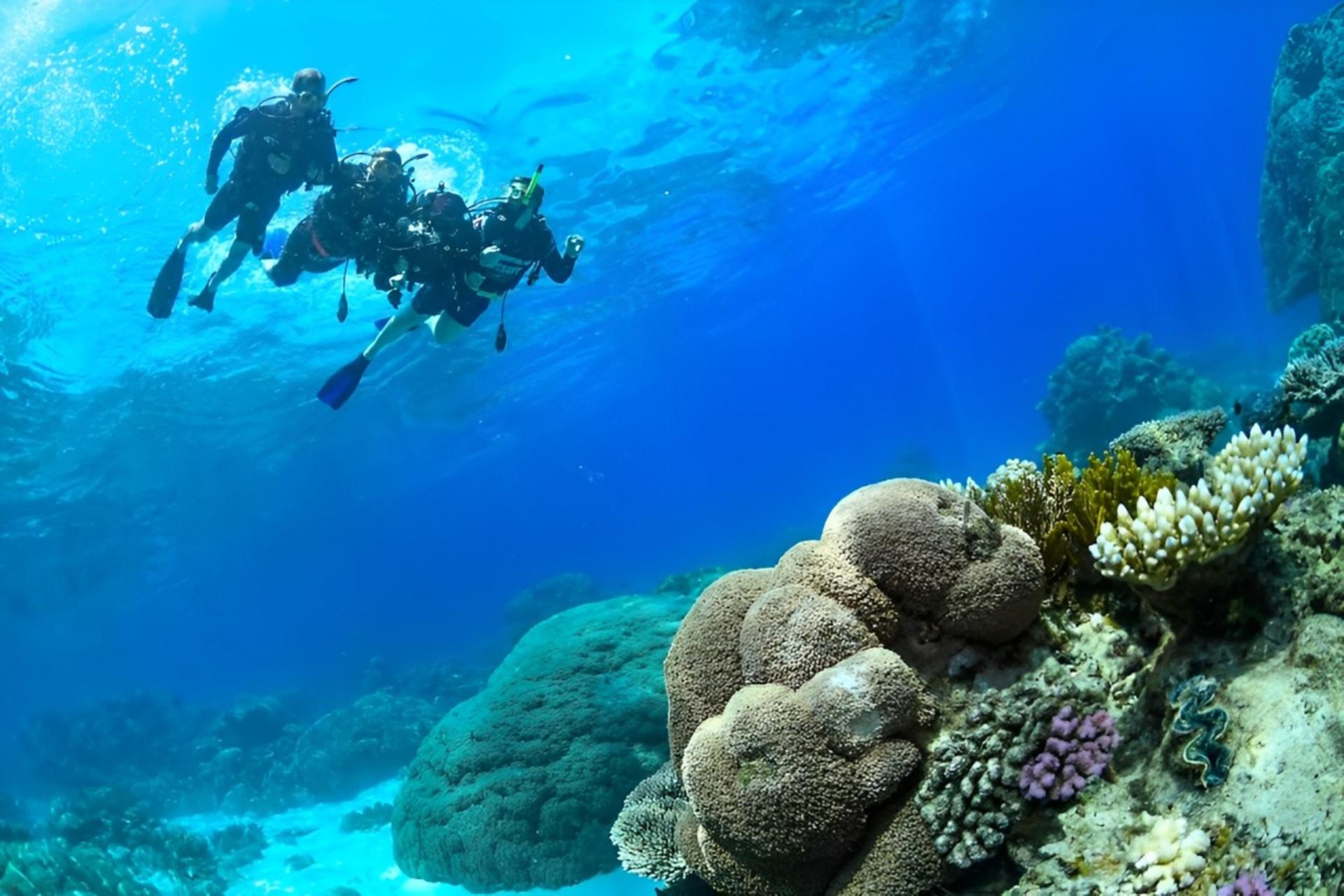 Great Barrier Reef Snorkel, Dive & Helicopter Full Day Tour - Thumbnail 6