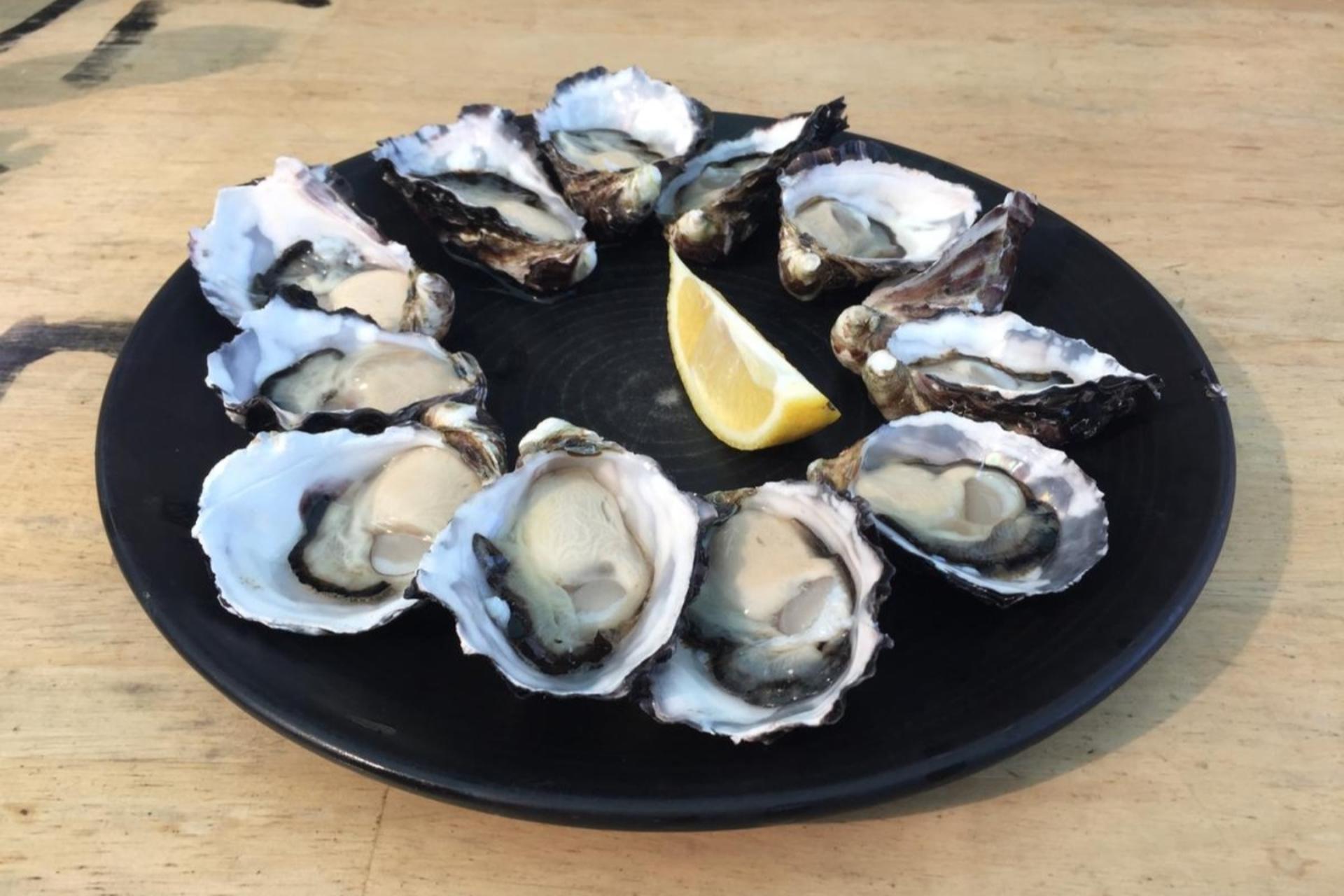 Bruny Island Gourmet Full Day Tour - Thumbnail 10