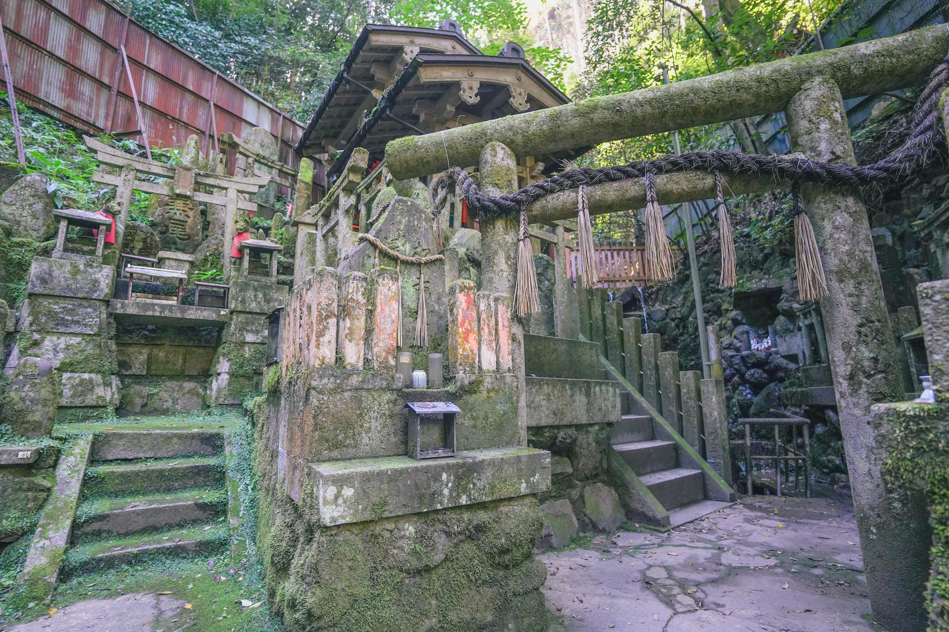 Fushimi Inari Hidden Hiking Tour : Escape the Crowds - Thumbnail 22