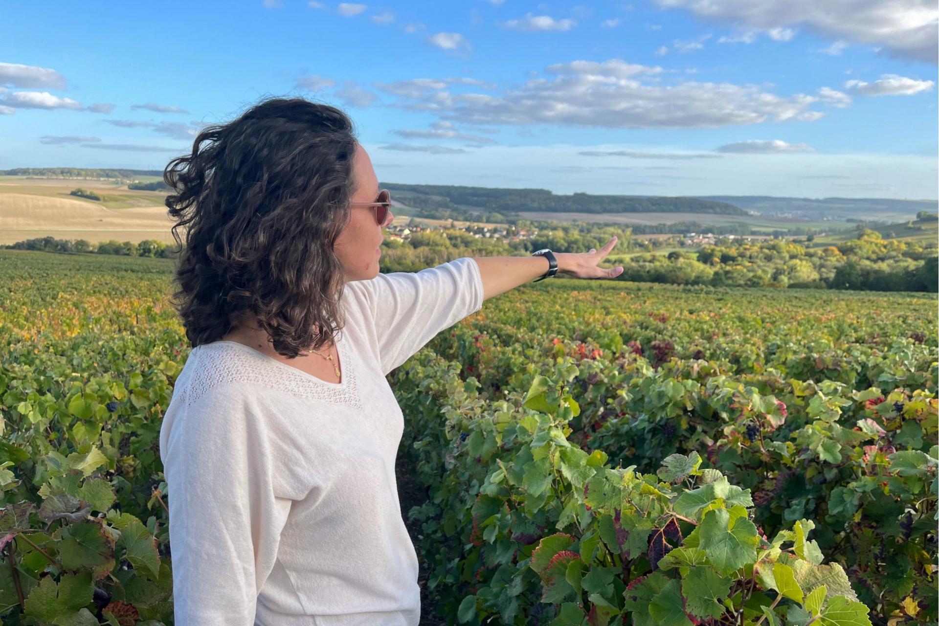 Sancerre Wine Tasting and Lunch Tour from Paris - Image 1