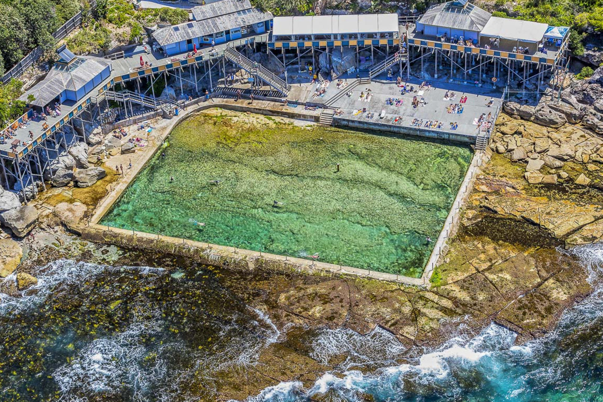 Sydney Beaches, Baths and Rockpools Private Tour  - Thumbnail 5