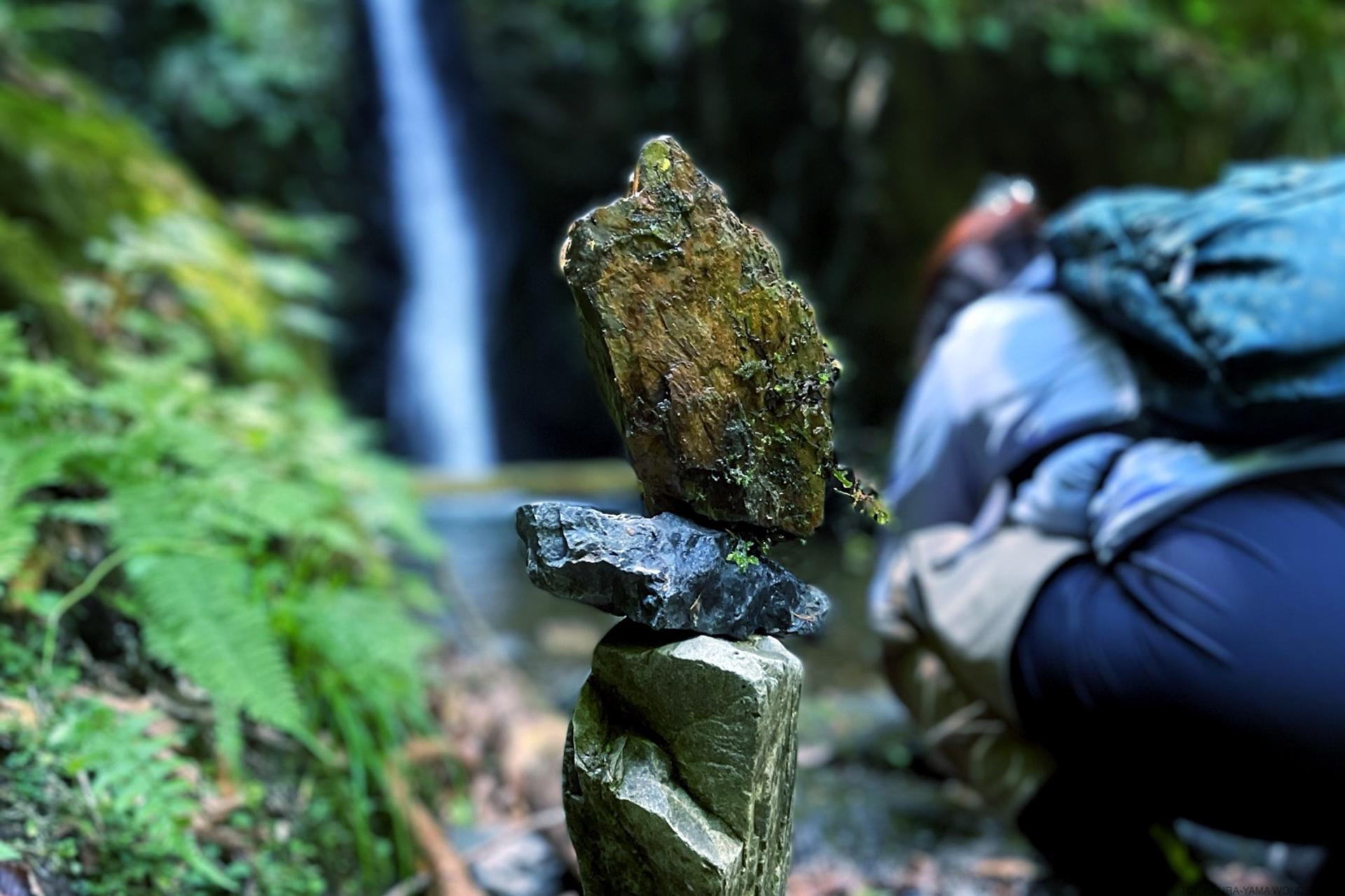 Akiruno Electric Bike & Nature Half-Day Tour - Thumbnail 13