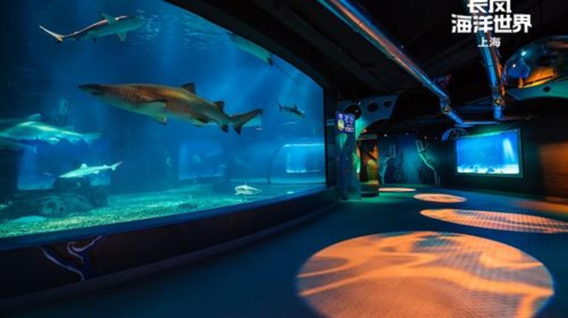 Shanghai Changfeng Ocean World Ticket - Image 1
