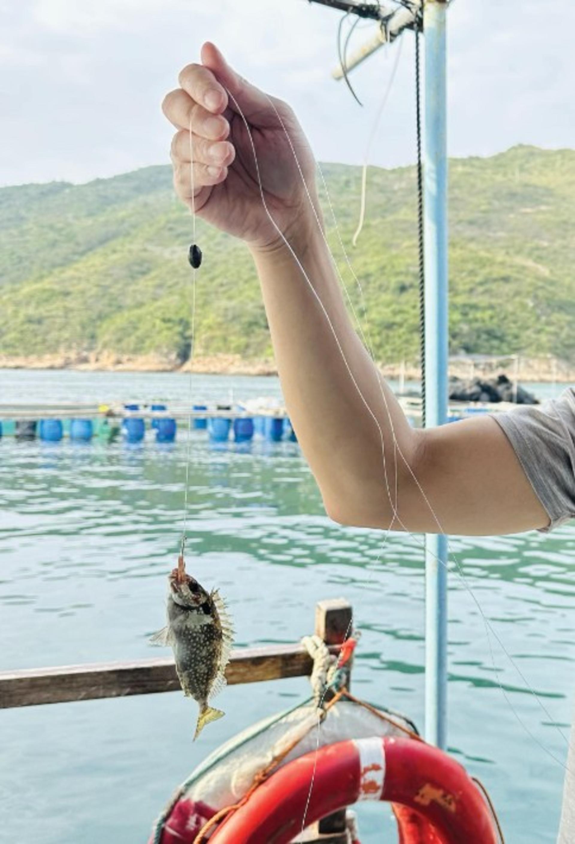 Hong Kong Fisherman's Wharf Ticket | Enjoy a boat tour of Aberdeen Fishing Village, savor fresh seafood, visit the floating houseboat, try pier fishing, and experience the unique fishing culture of Hong Kong! - Thumbnail 15