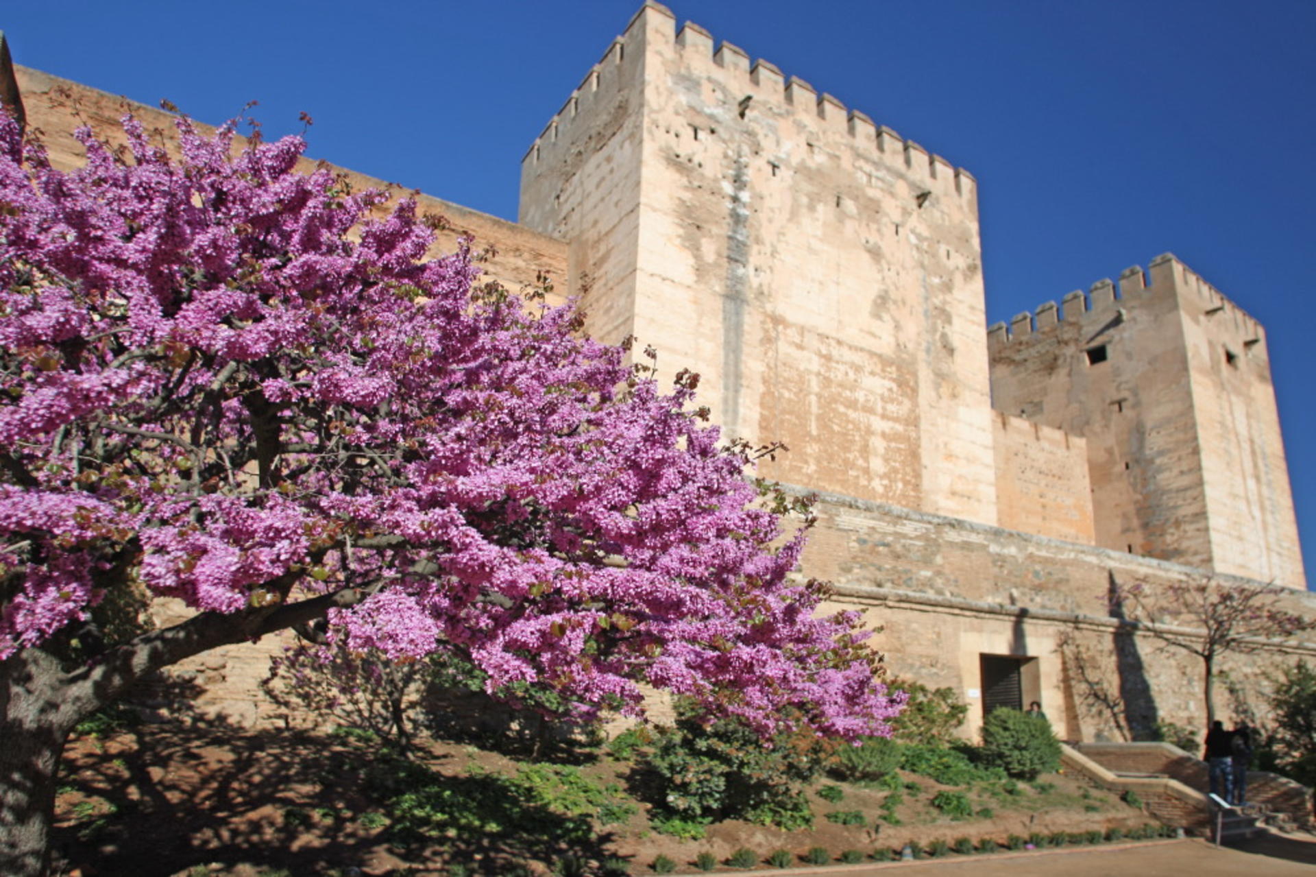 Alhambra Guided Tour with Options for Nasrid Palace and Transfers - Thumbnail 7