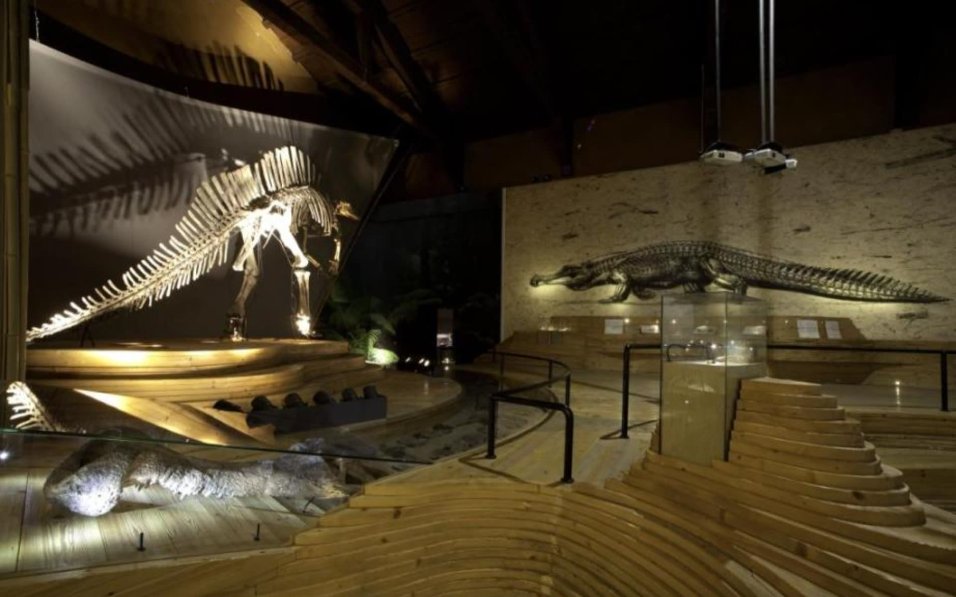 Natural History Museum Ticket in Venice - Thumbnail 5