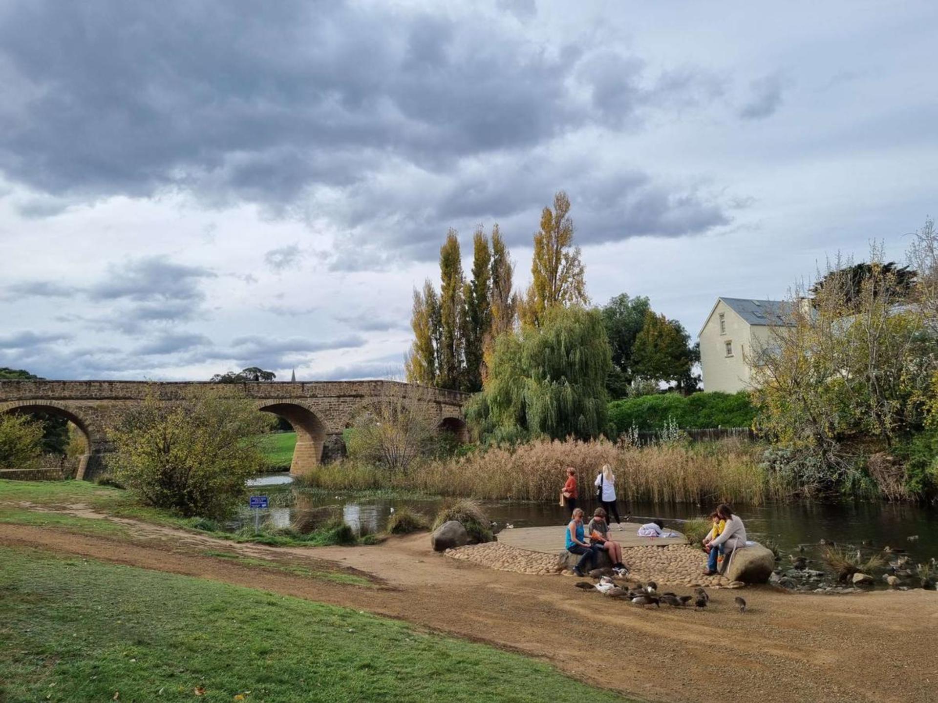 Mount Field, Bonorong Wildlife Sanctuary and Richmond Tour - Thumbnail 9
