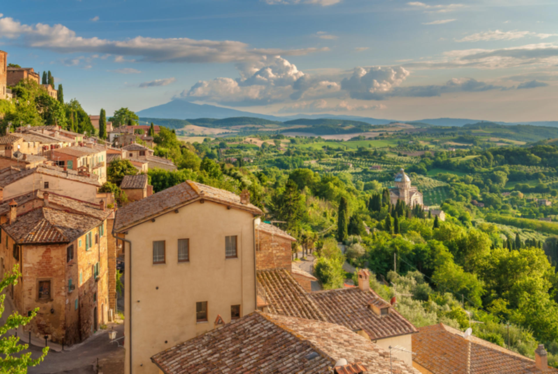 From Siena: Best of Tuscany Wines & Lunch in Montepulciano - Thumbnail 5
