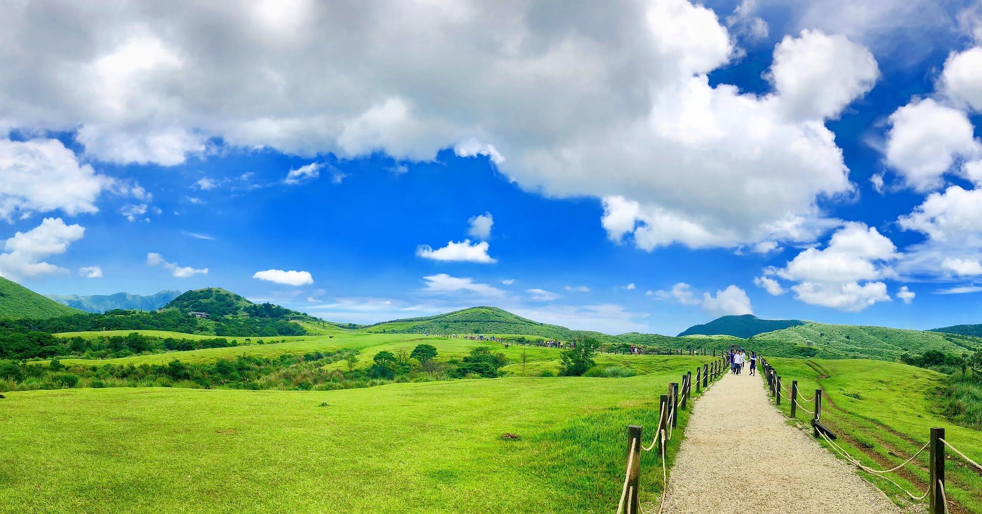 Taipei Full-Day Yangmingshan & Yehliu Geology Tour - Image 1