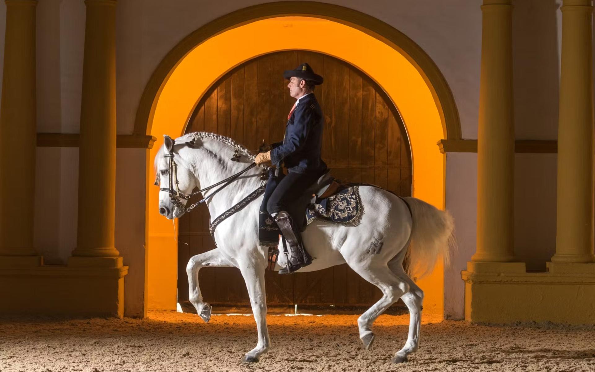 Royal Andalusian School of Equestrian Art full visit experience - Image 1