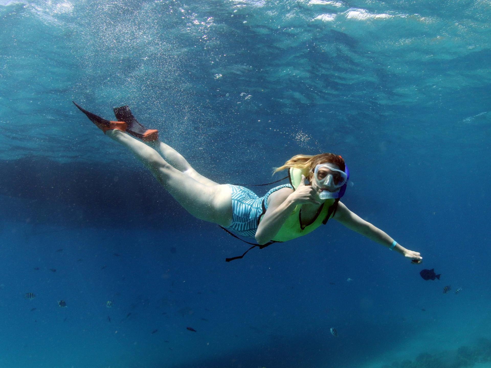 Luxury Morning Snorkel Cruise with Dolphin Watching in Oahu - Thumbnail 16
