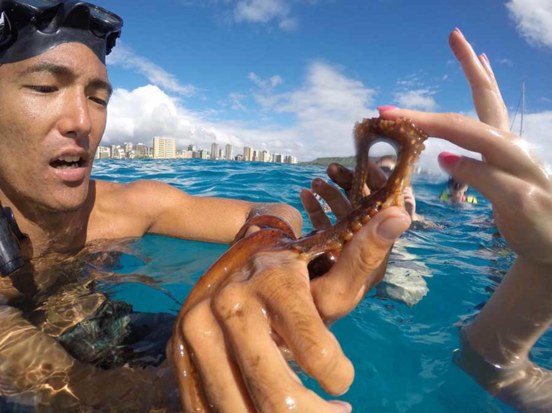 Waikiki Turtle Snorkel Sail Experience with Optional Lunch - Thumbnail 5