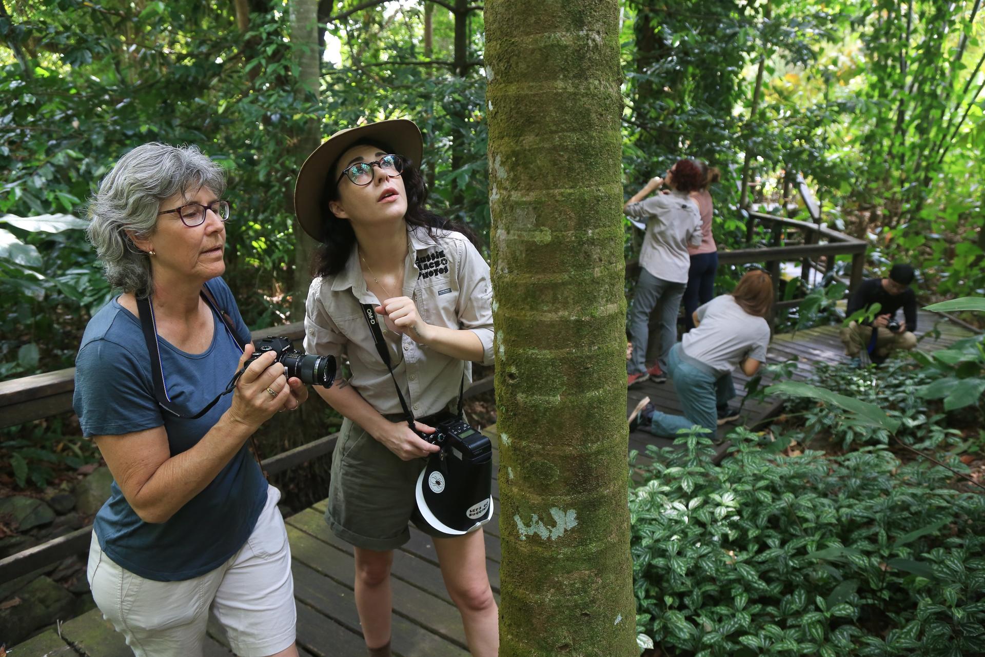 Cairns Botanic Gardens Morning Walk Photography Tour - Thumbnail 10
