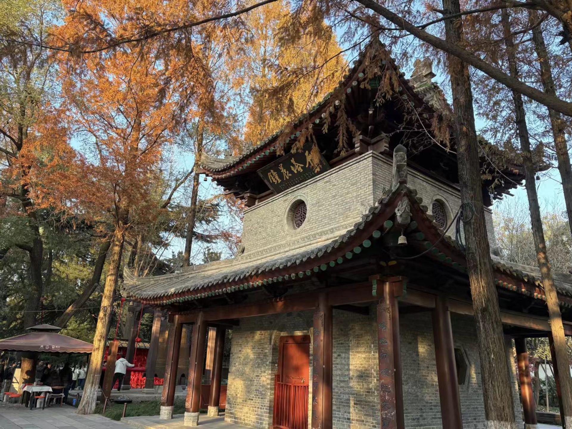 Xi'an Giant Wild Goose Pagoda and City Wall One-Day Tour - Thumbnail 8