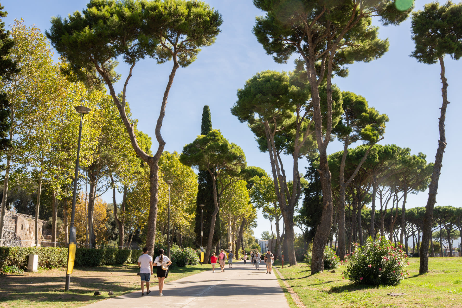 From Rome: Pompeii with Archaeologist & Lunch in Sorrento - Thumbnail 10