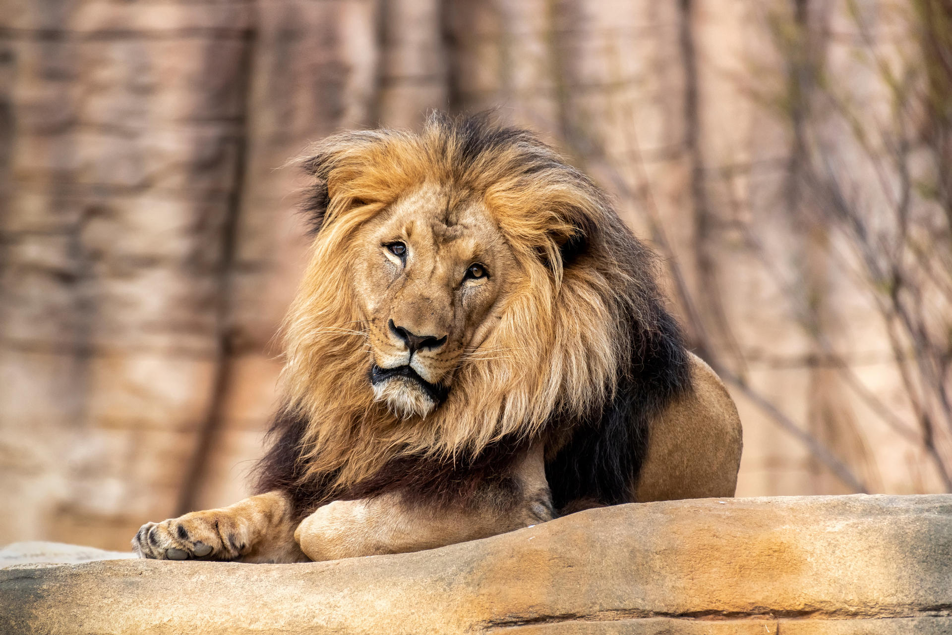 Barcelona Zoo Ticket - Thumbnail 7
