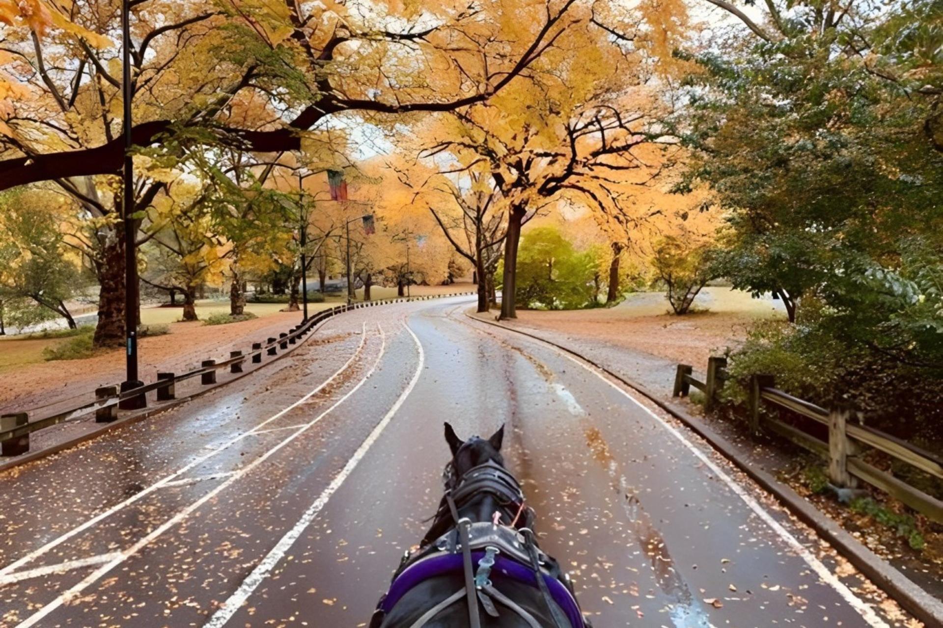  New York City: Horse-Drawn Carriage Tour Through Central Park - Thumbnail 6