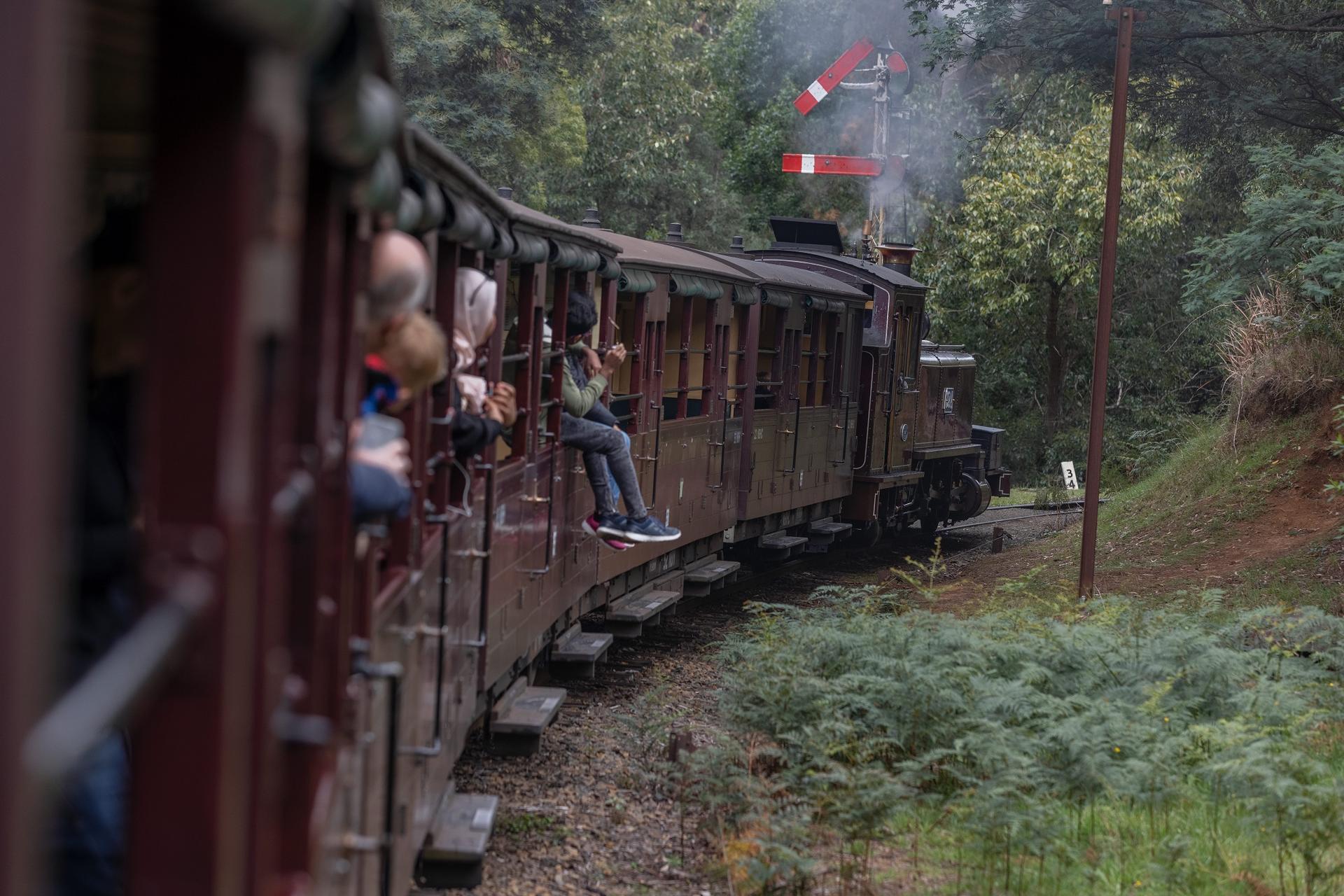 Puffing Billy Rainforest Guided Tour - Thumbnail 4