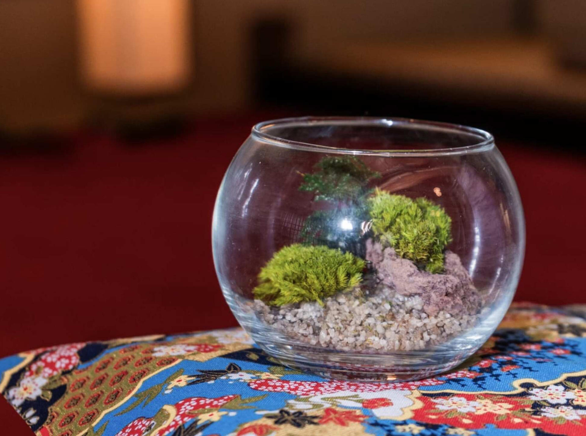Asakusa Jusen-in Moss art experience - Image 1