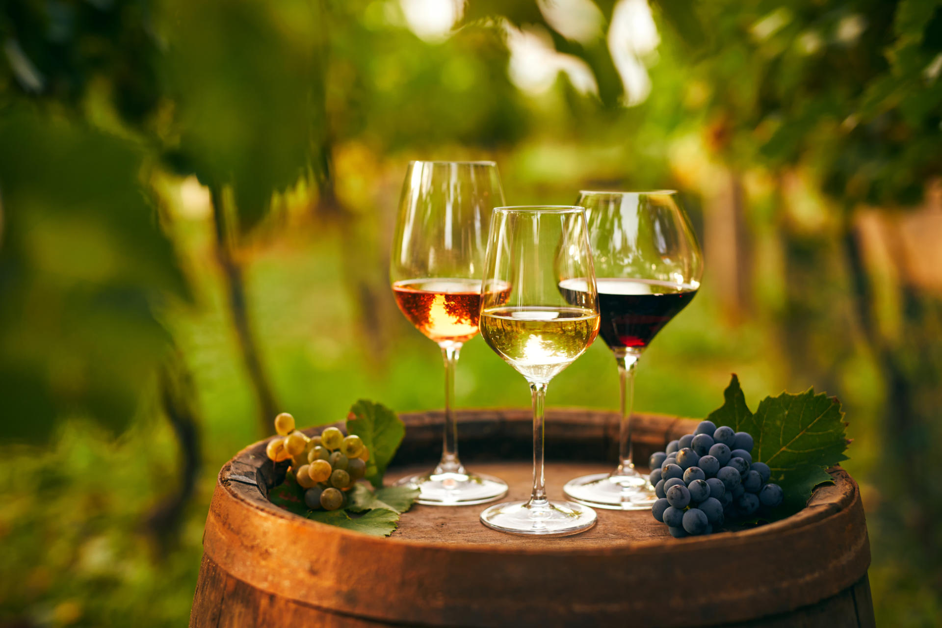 Cappadocia Vineyard and Wine Tasting with Fairy Chimneys Day Tour - Thumbnail 4