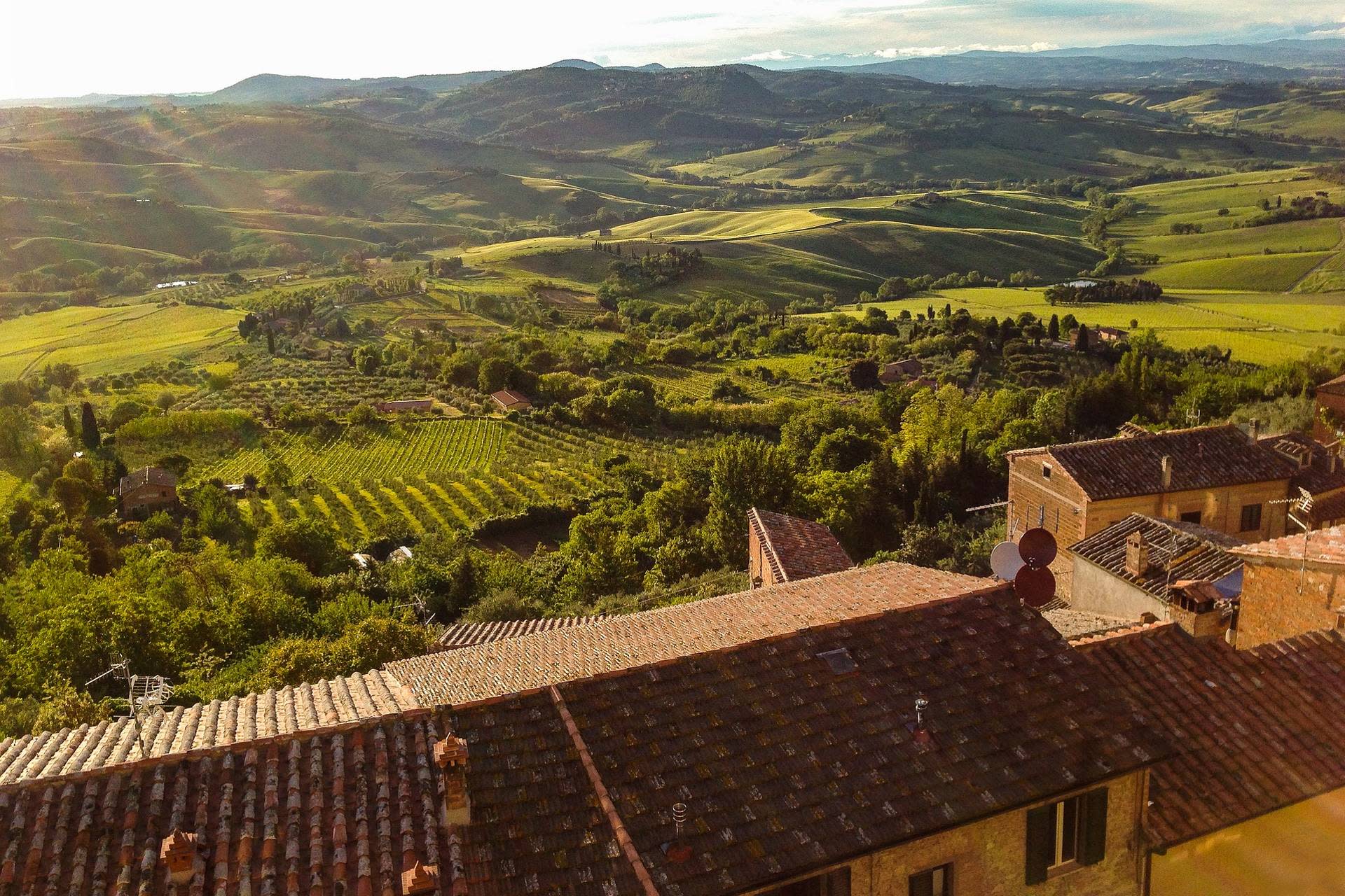 Wine tasting tour in Montepulciano with lunch in wine cellar - Image 1