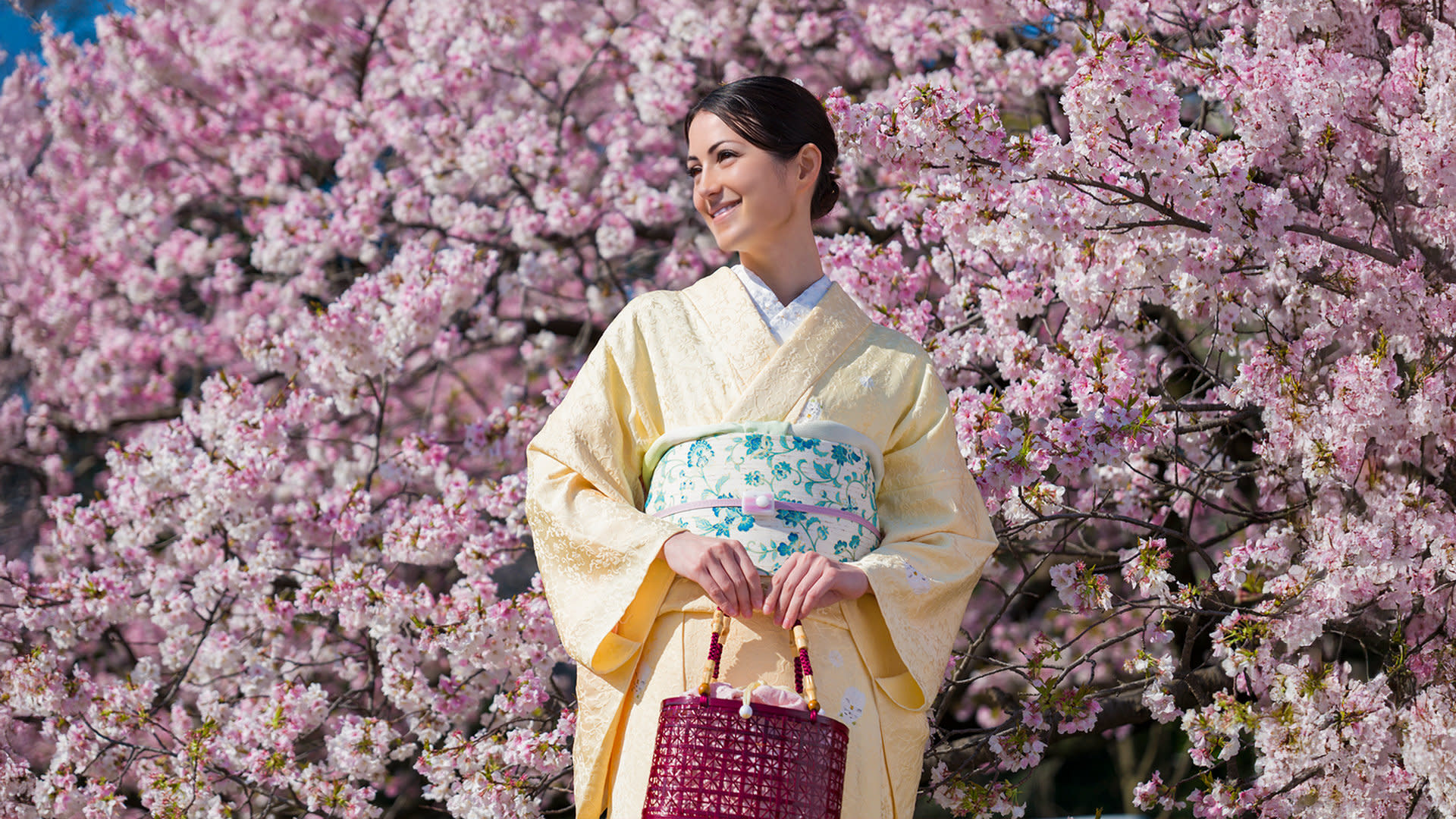 Kimono Rental inside Shinjuku Gyoen National Garden: KOUICHI STORE - Thumbnail 12